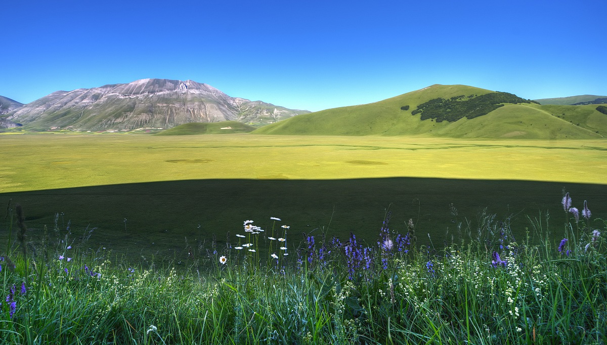 Piana di Castelluccio