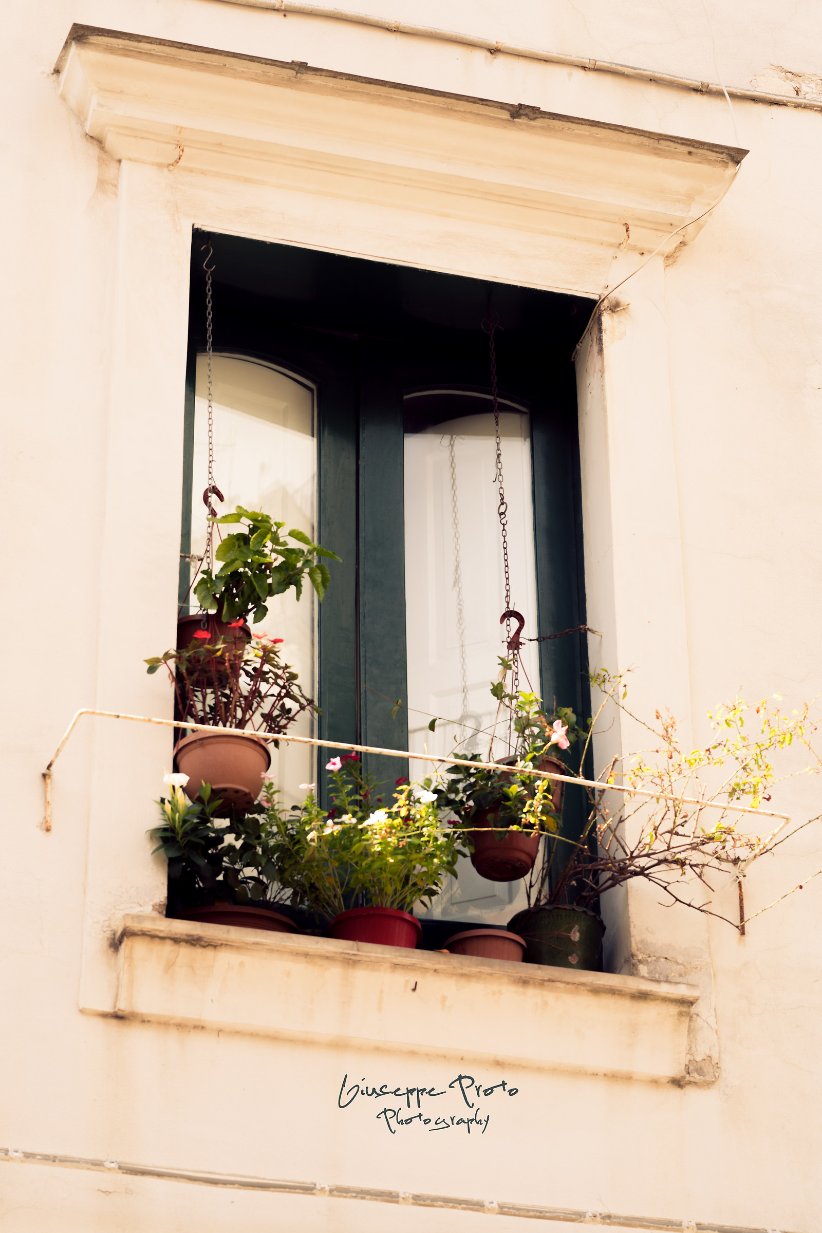 La finestra del corso