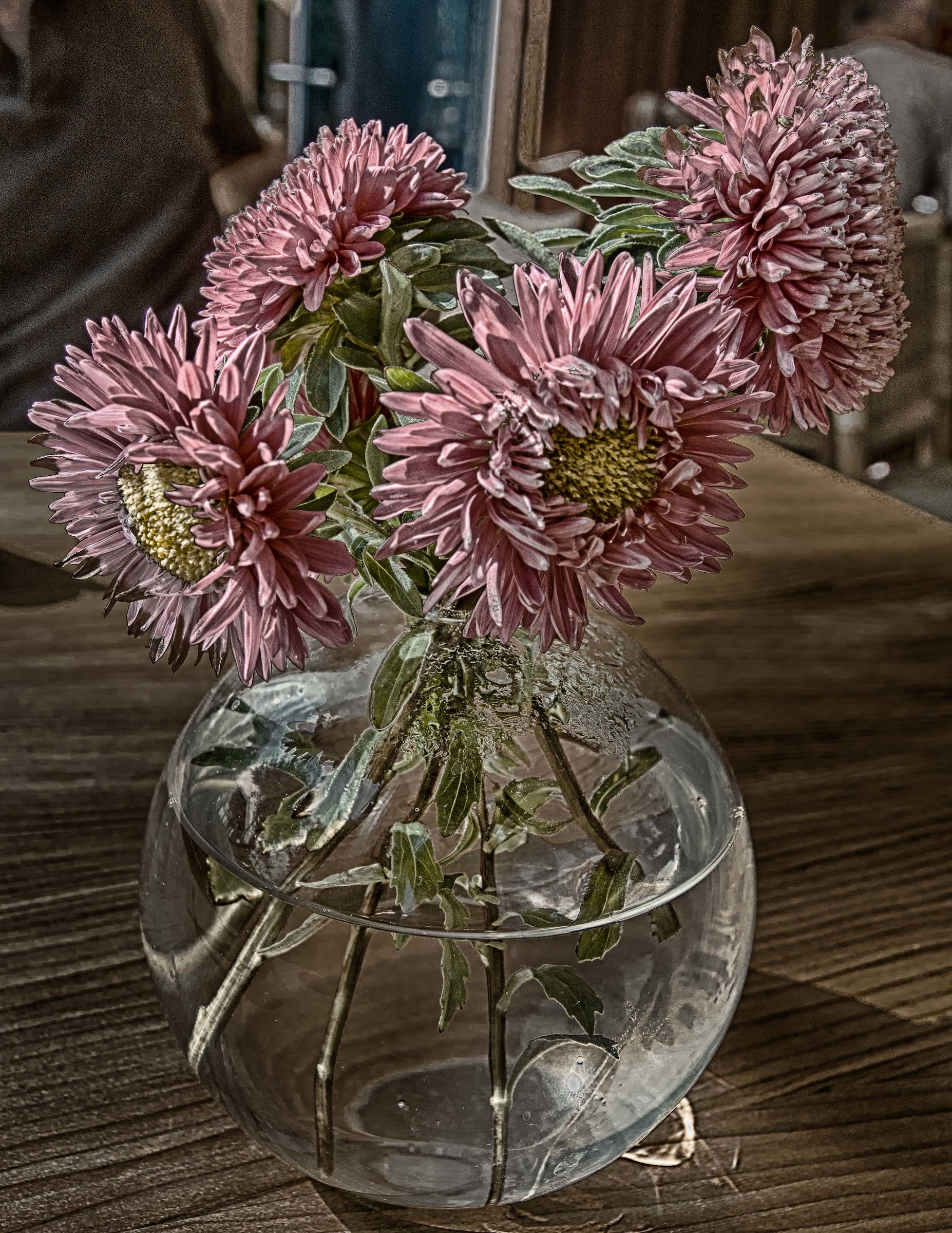 Astri sul tavolo di un bar
