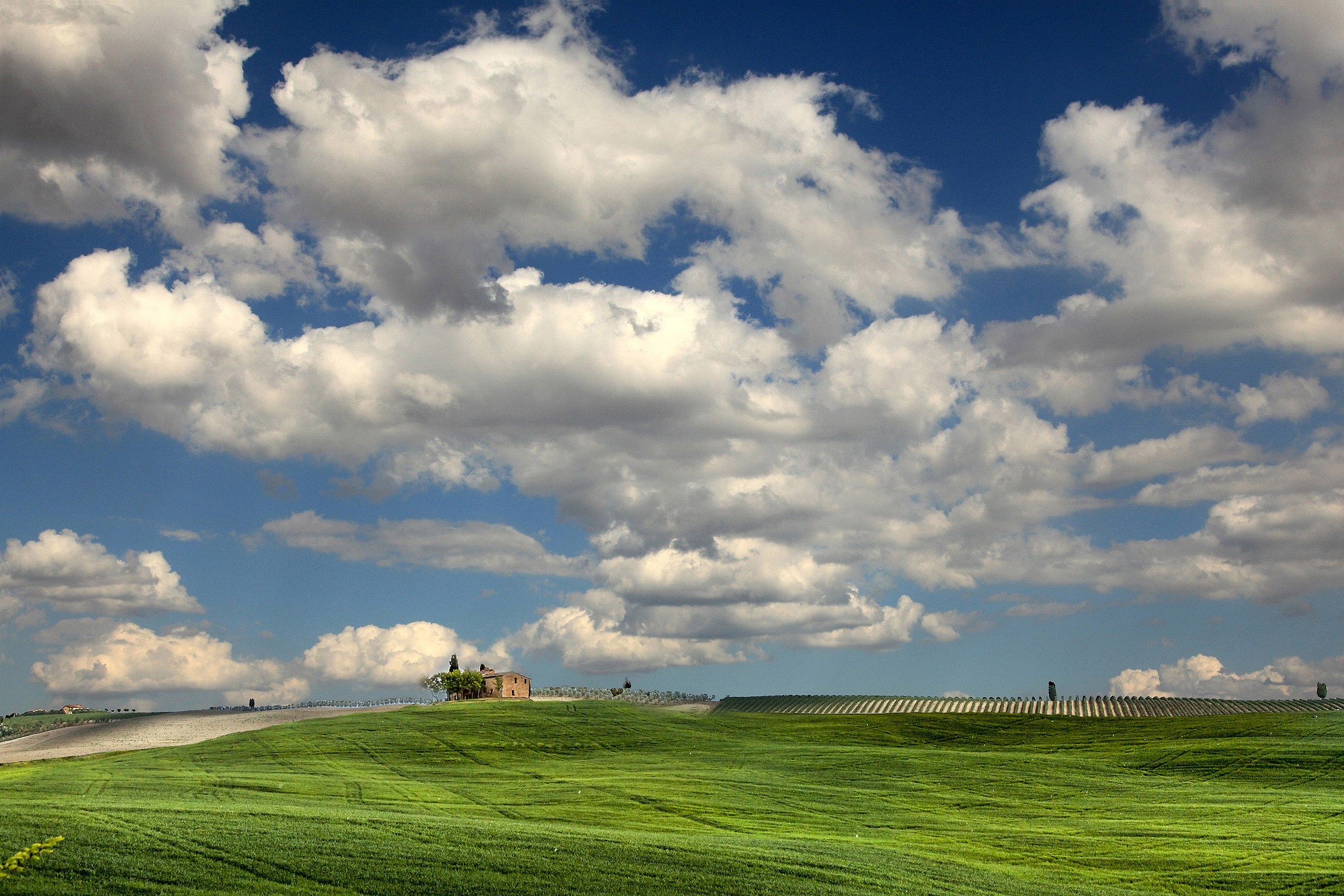 Just outside Montepulciano