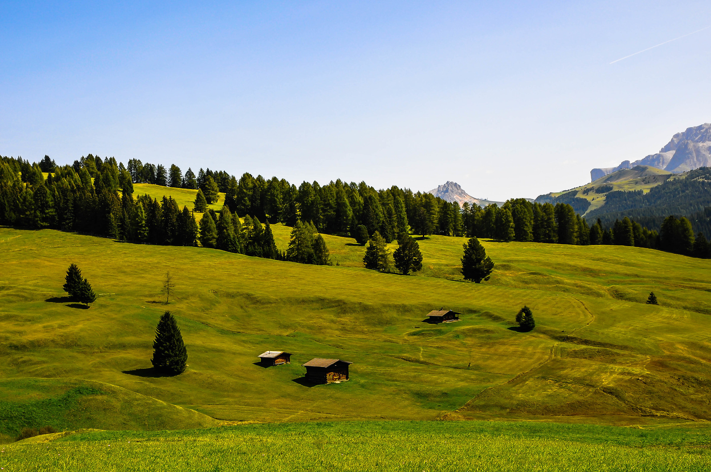 Alpe di Siusi