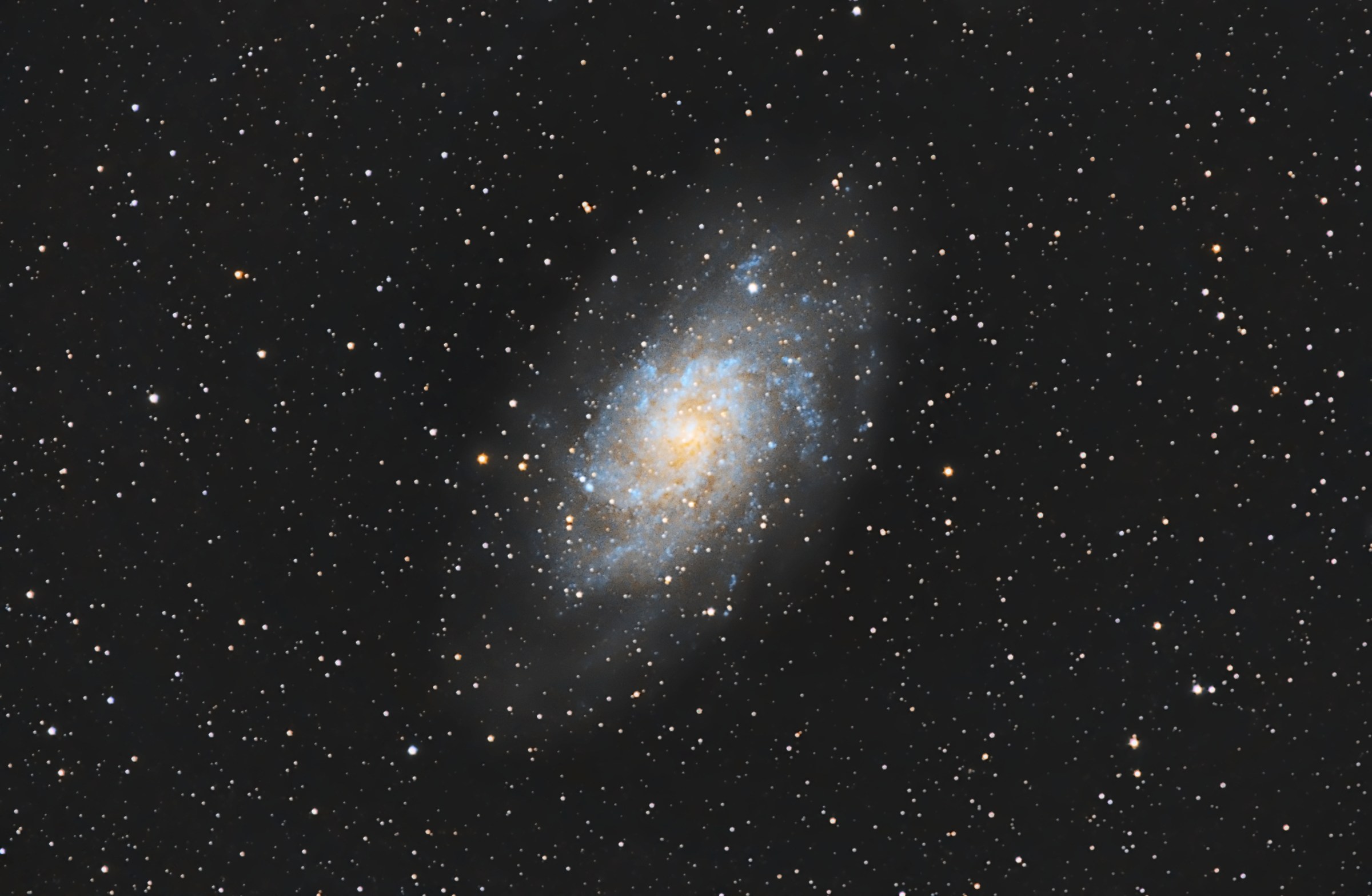M33 Galassia nel Triangolo