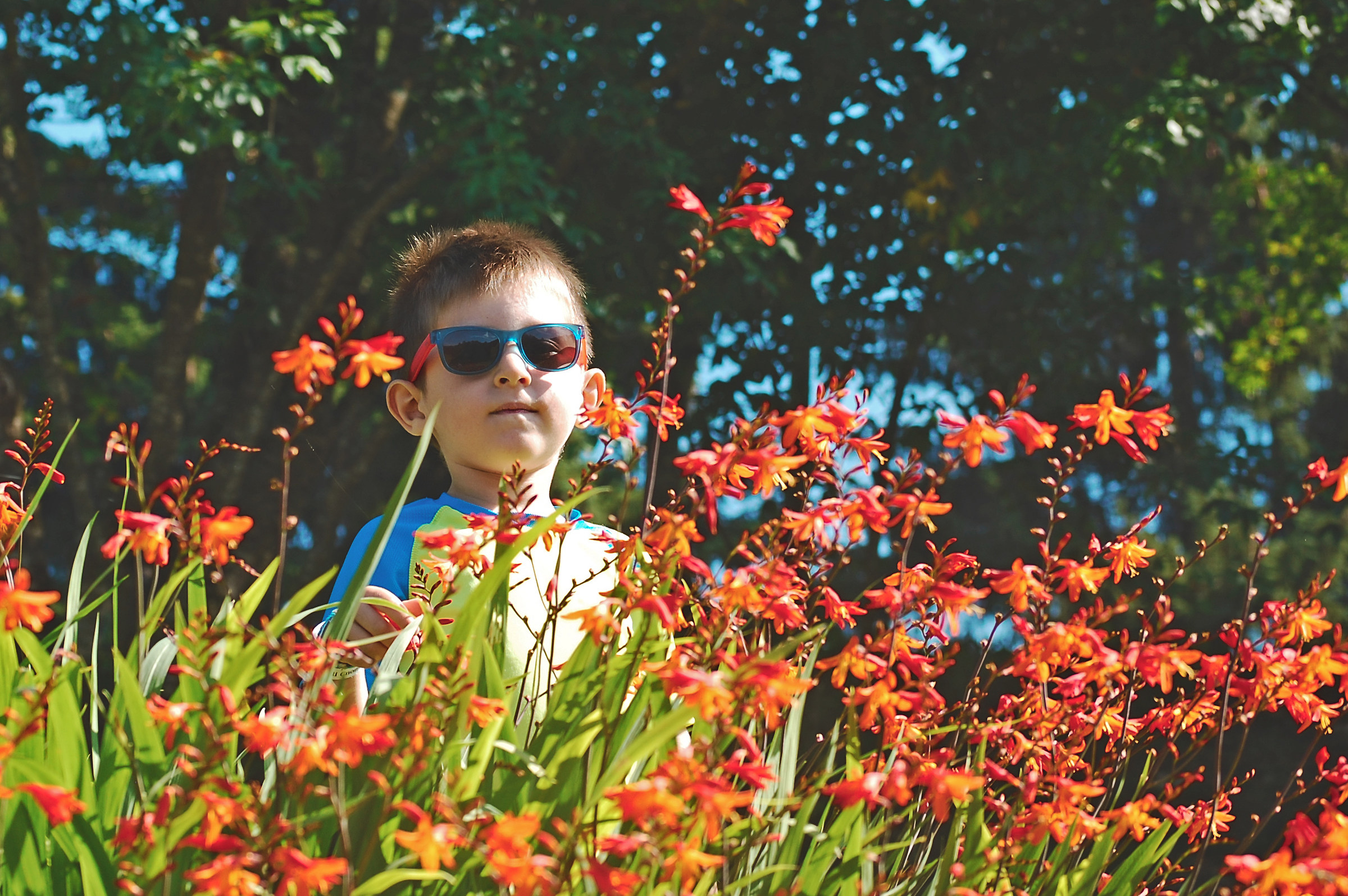 Alexander among the flowers of the Wood of the Gnomes - Asia...