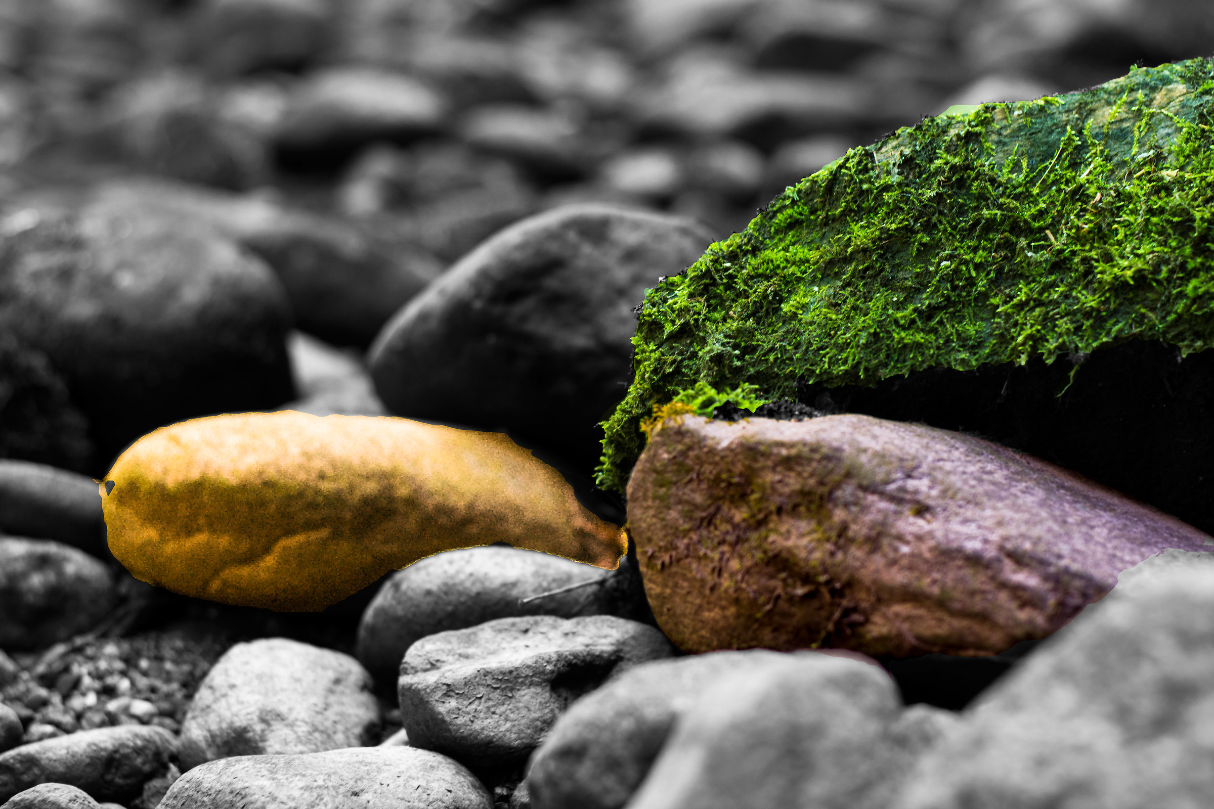 Being different and not alone