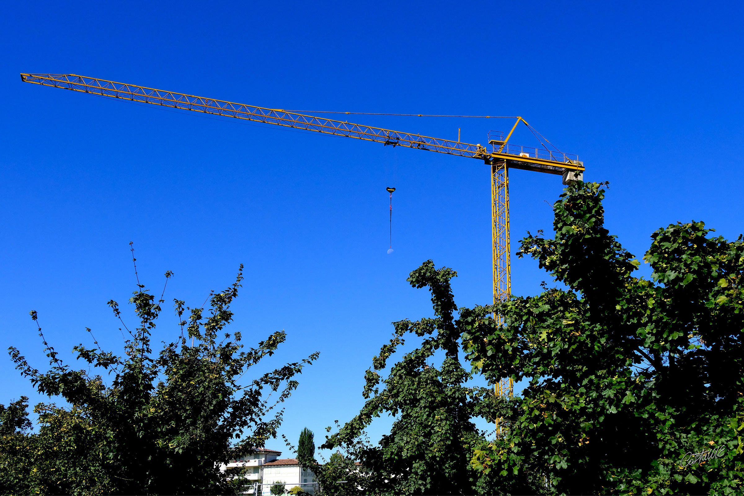 Crane with moon