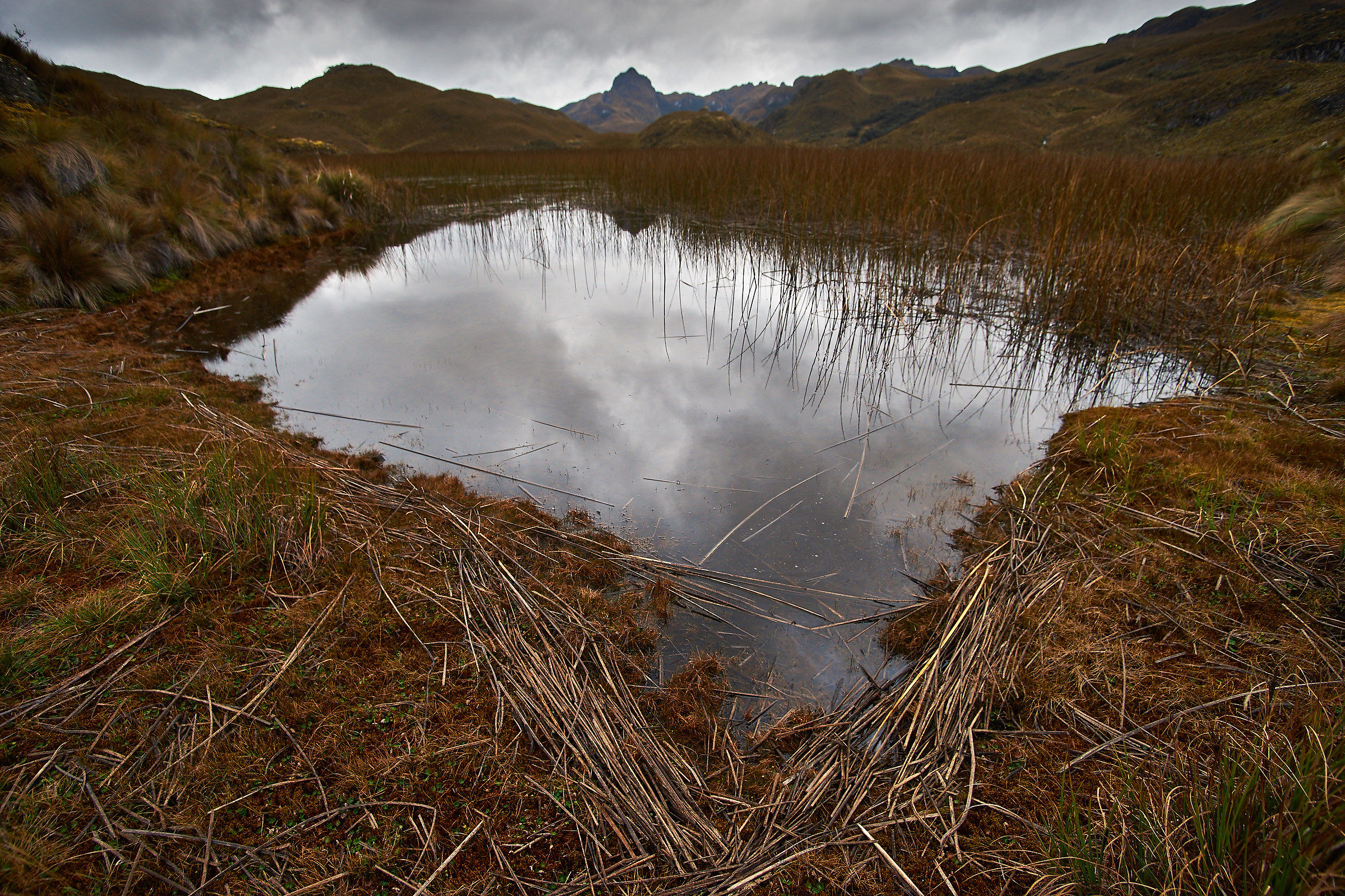 El Cajas National Park