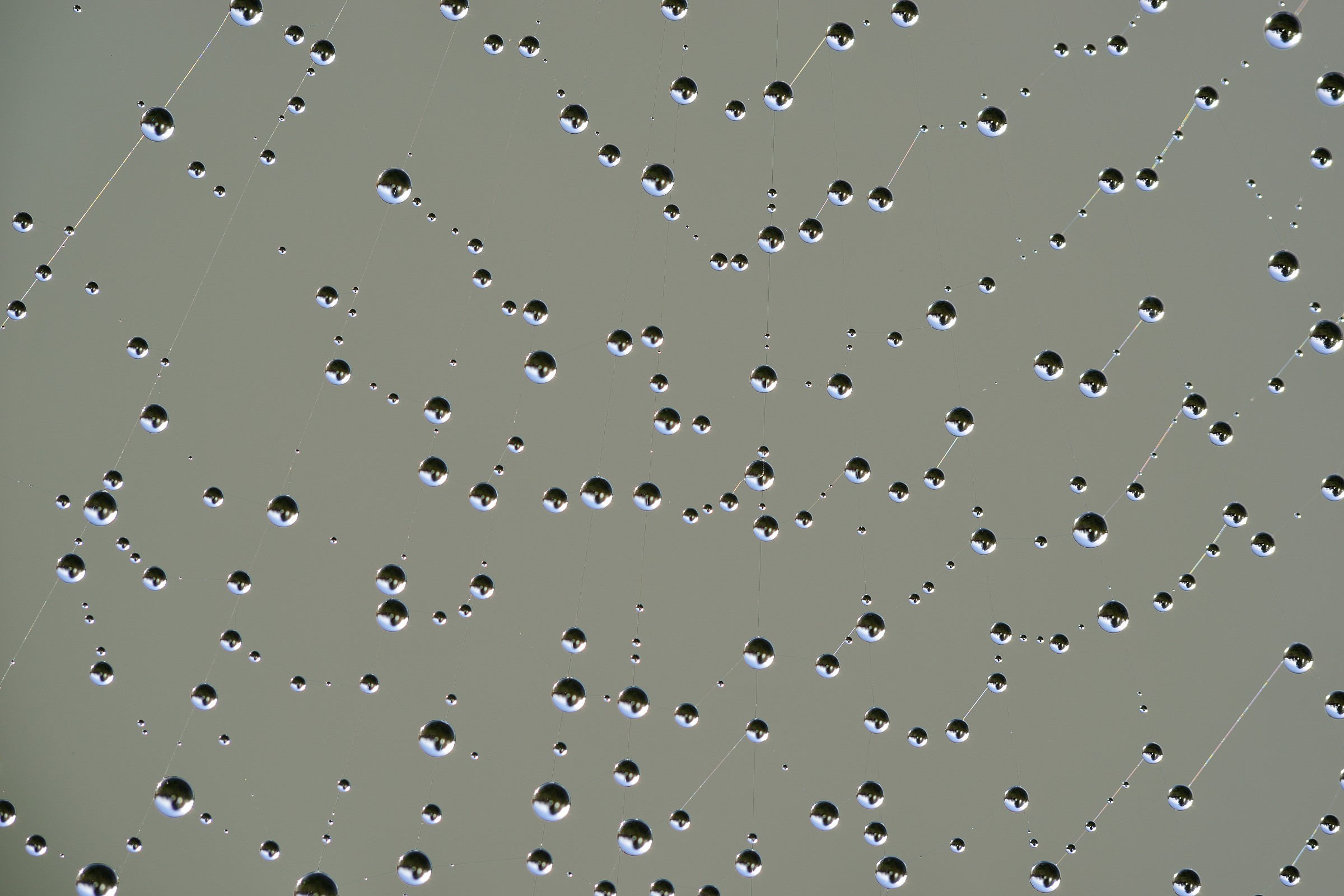 Falling from the sky