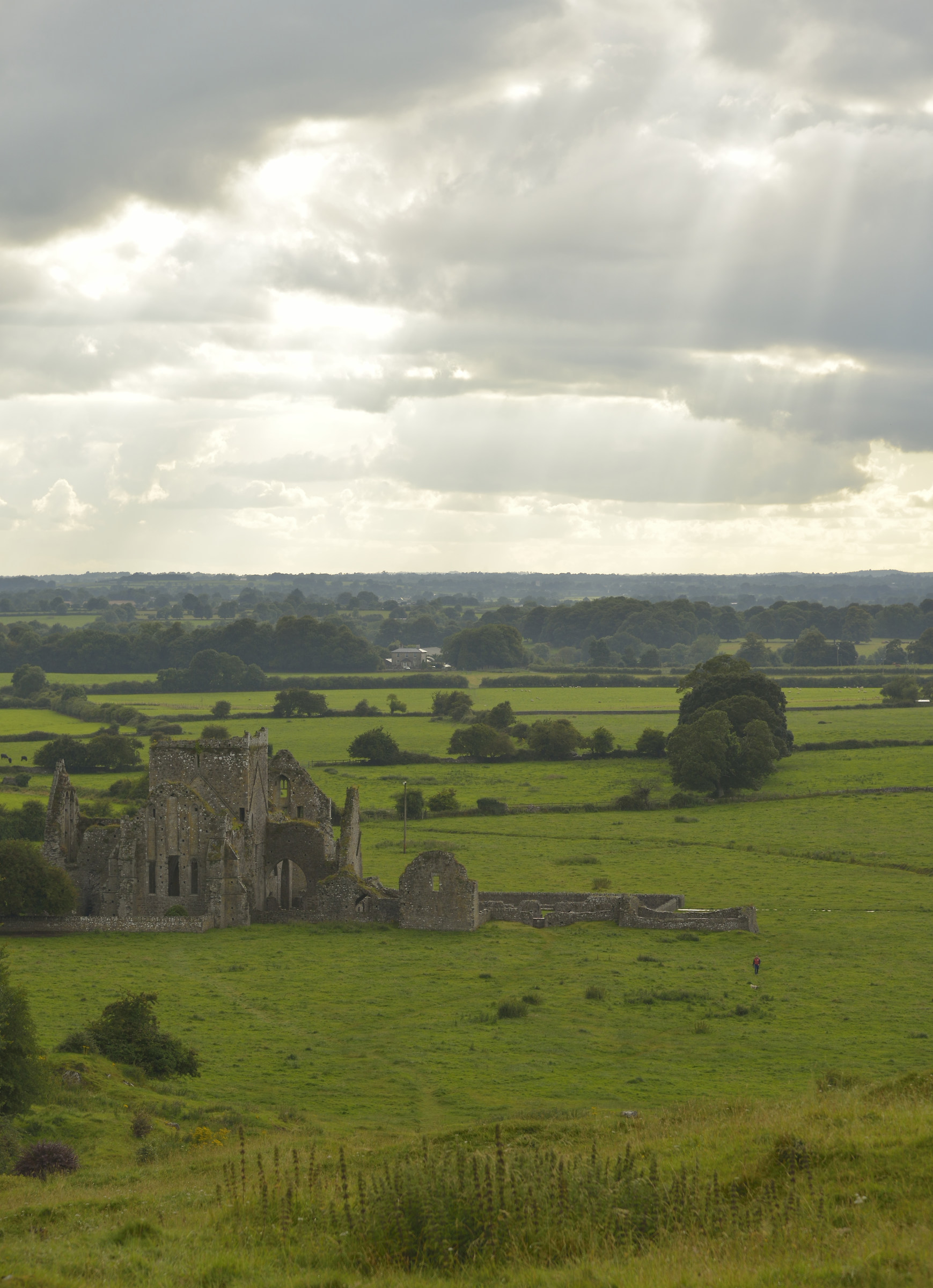 Irlanda ,Hore abbey