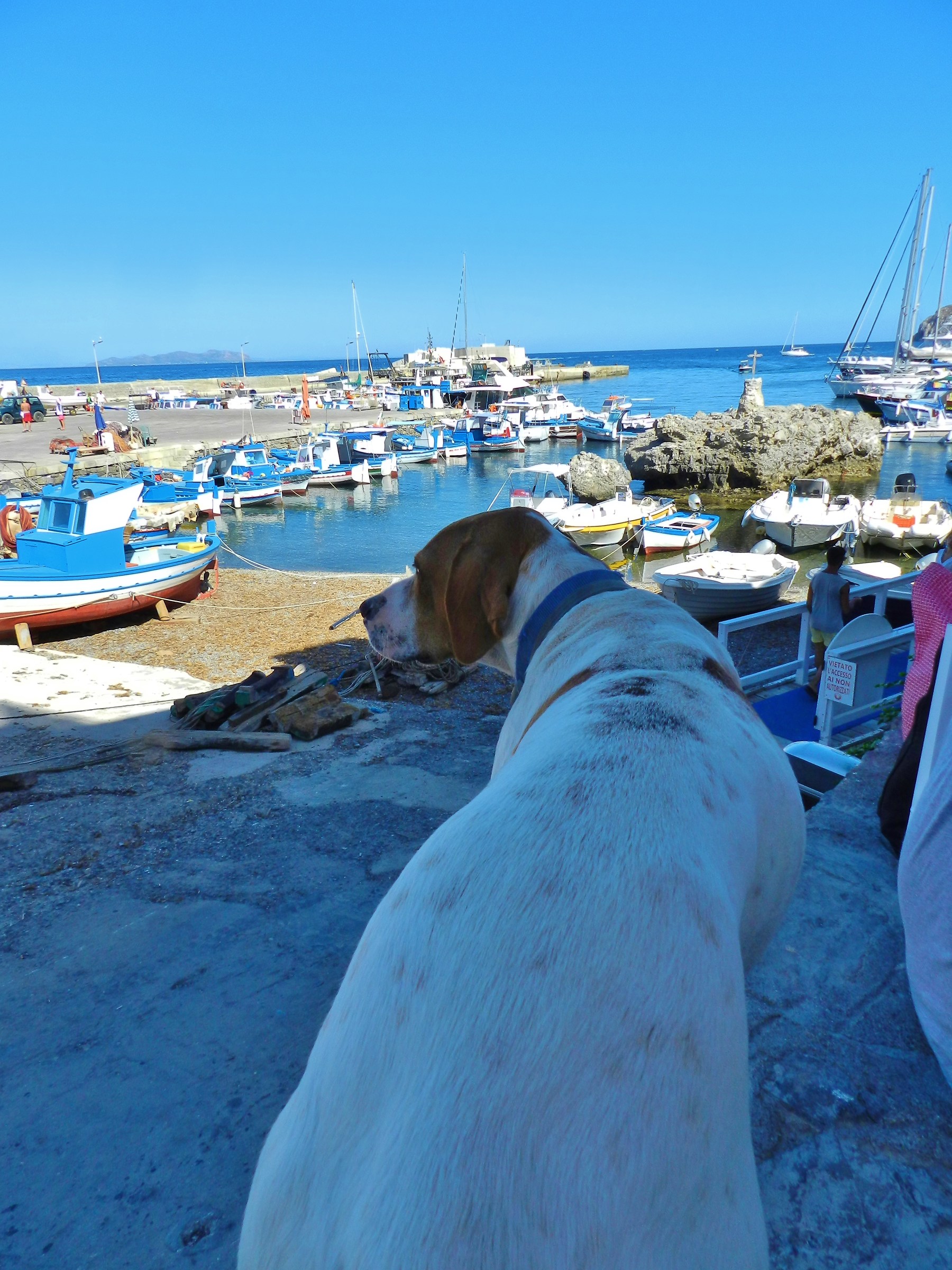 marettimo ... island of dogs