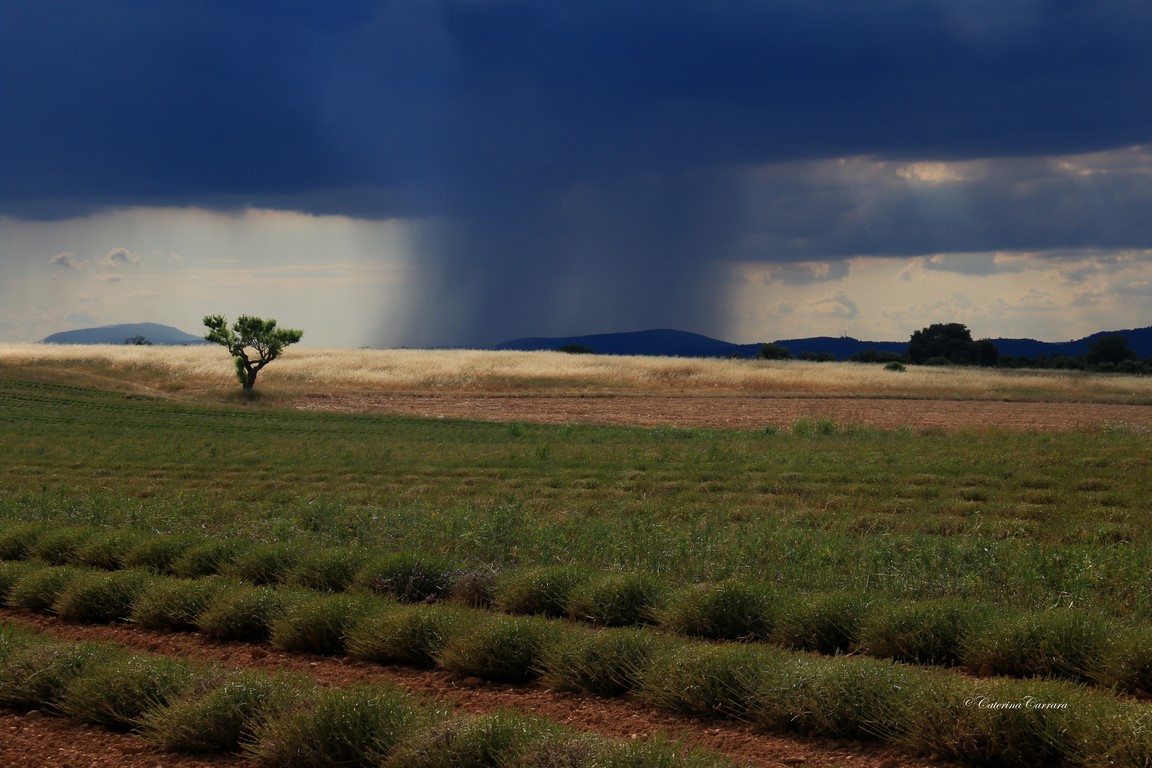 Temporale in arrivo!