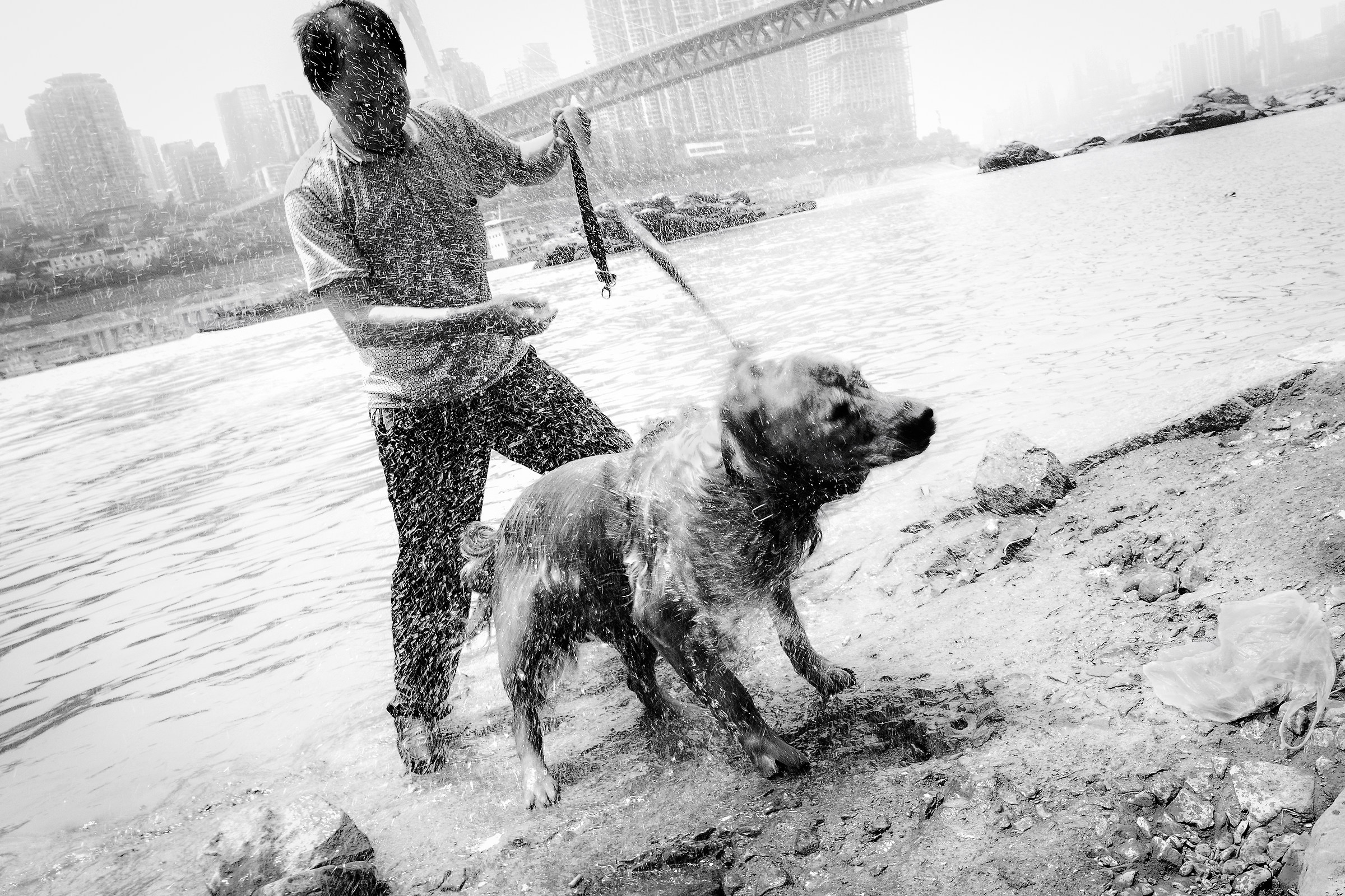 Chogquing city, 2017