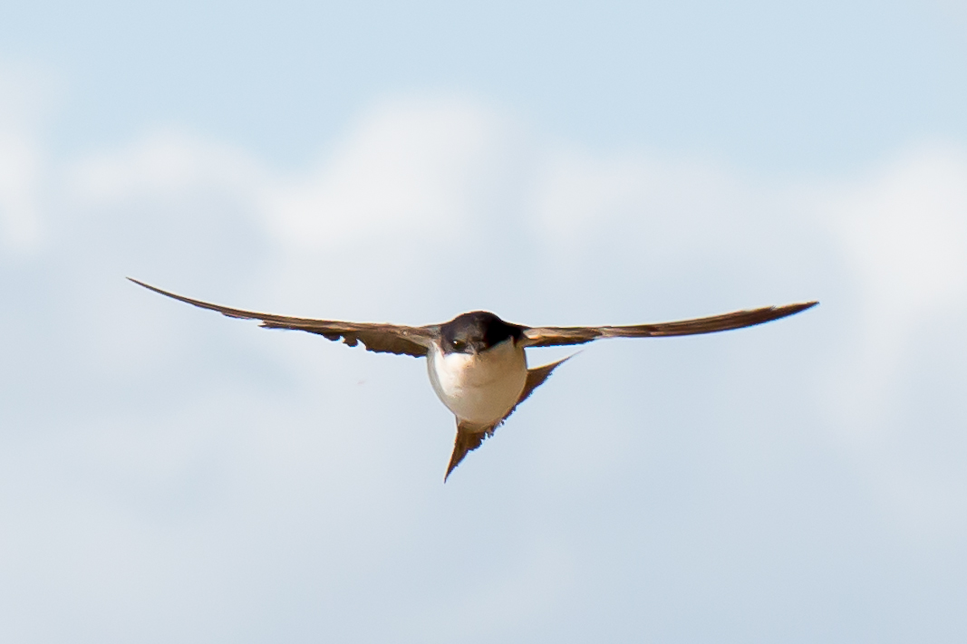 messa a fuoco manuale