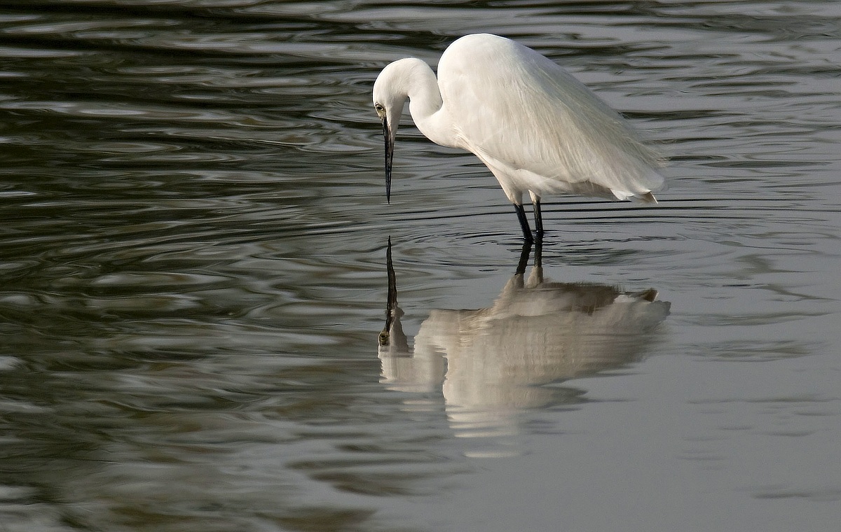 Mirror on the wall .........