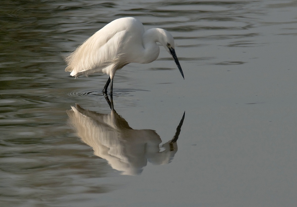 My profile ... will be better?