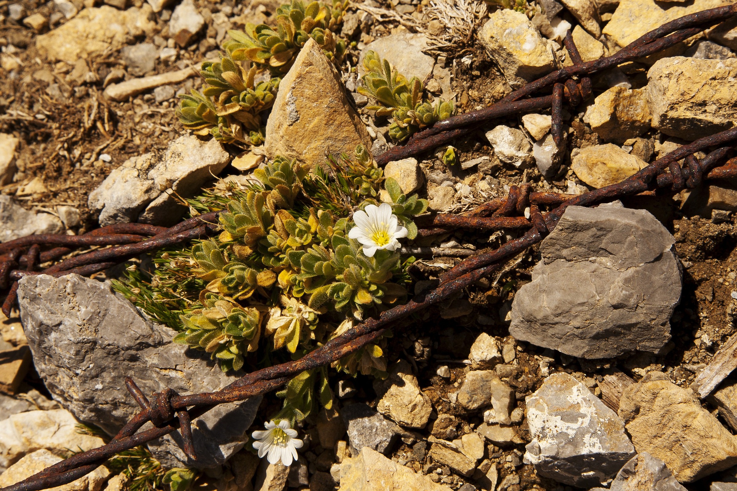 L'assurdità della guerra