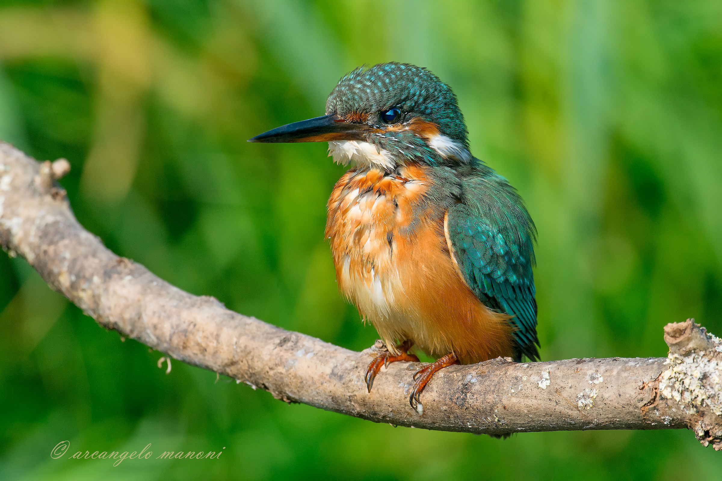 In the sun of September