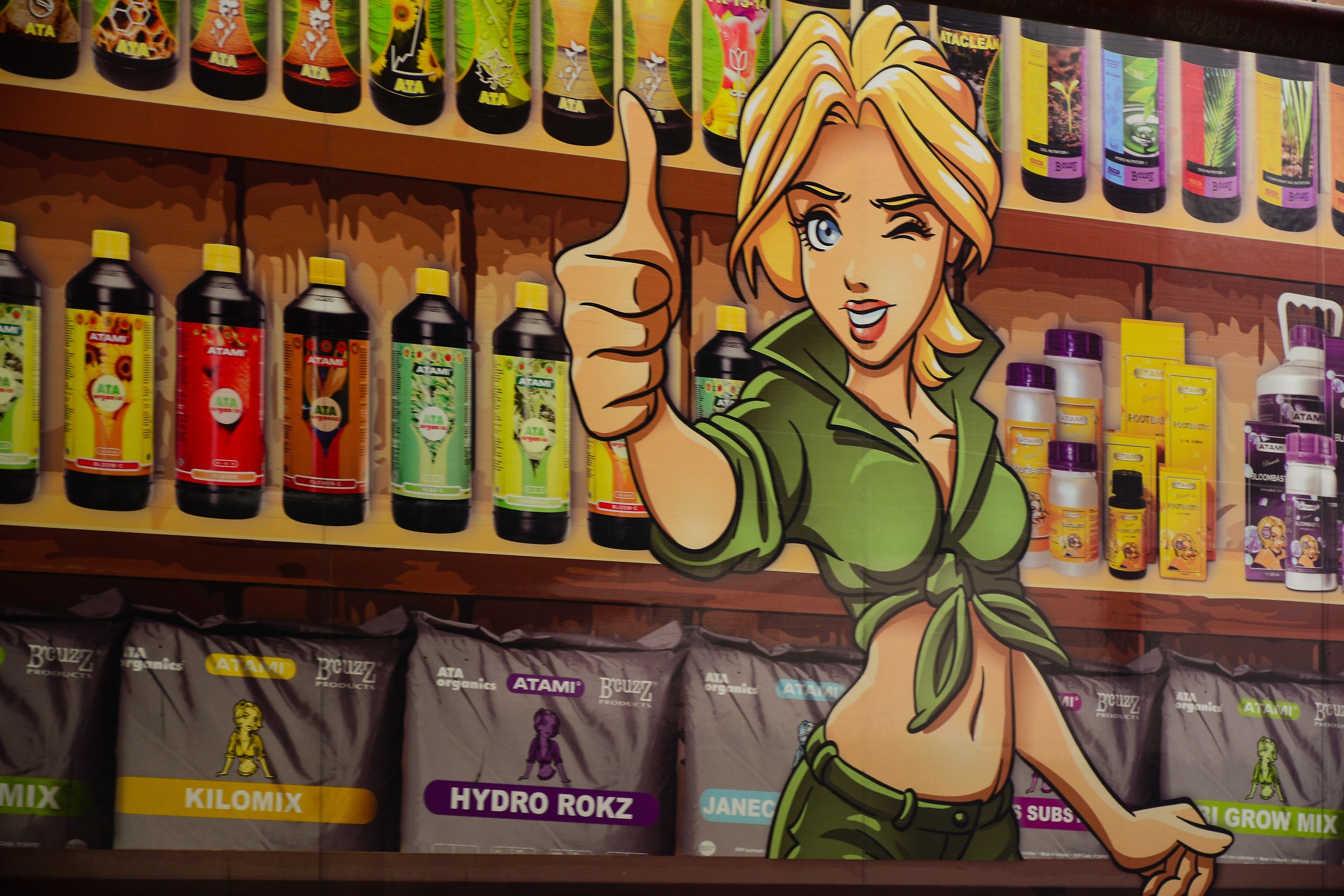 At the traffic light