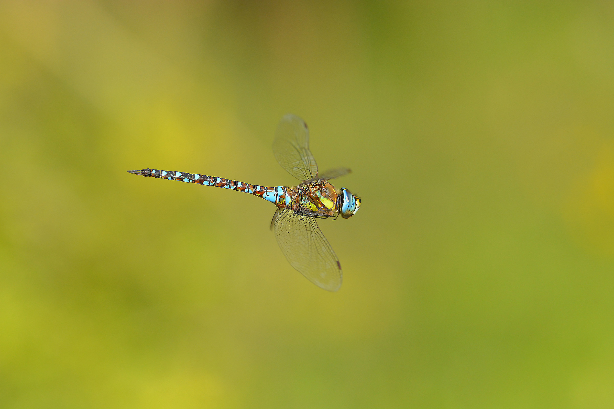 Pomeriggio di fine estate.