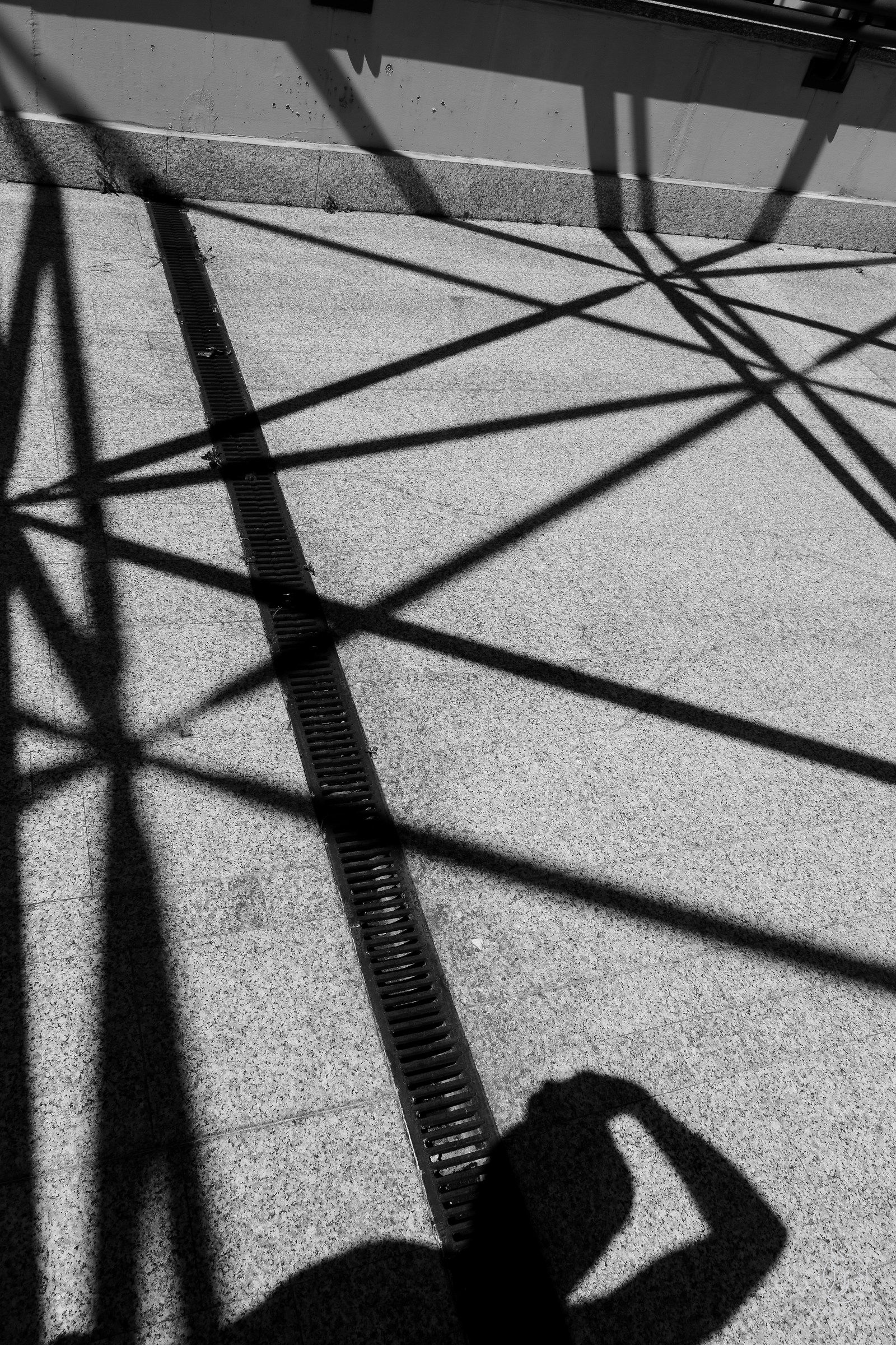 shapes and geometries