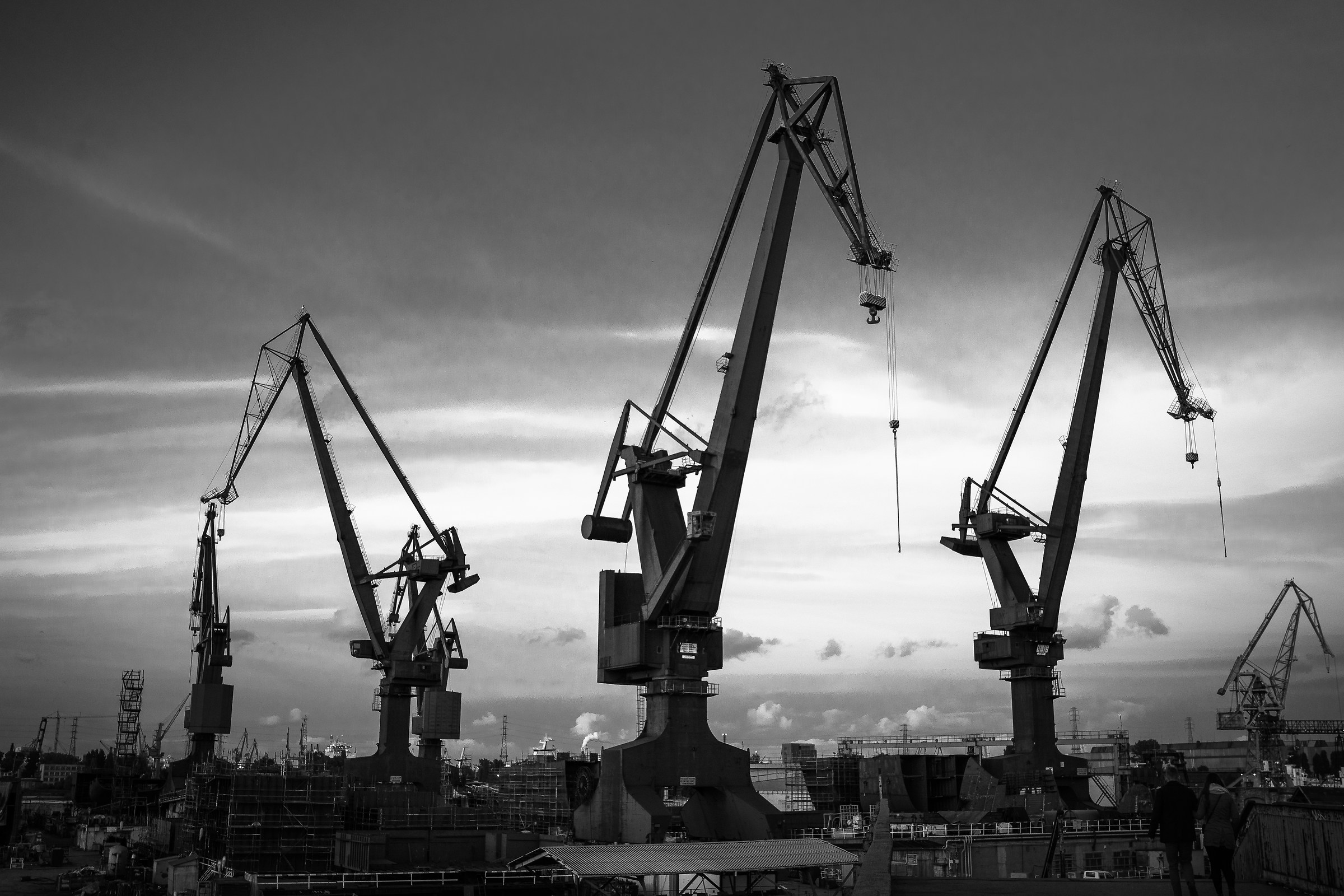 Cranes