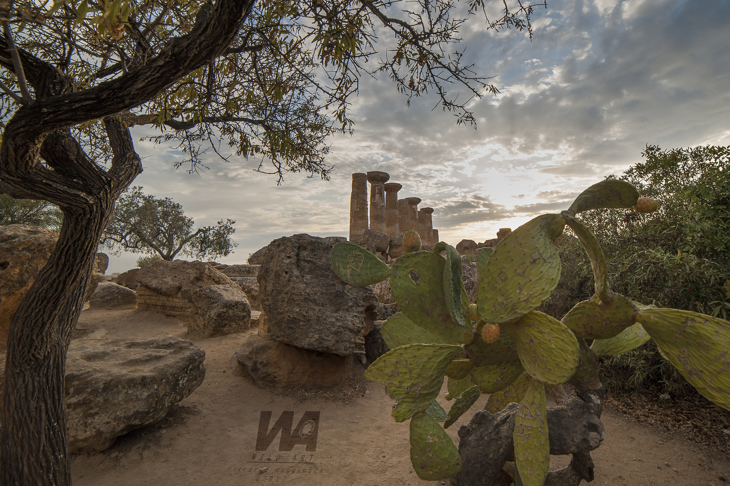 Temples and figs of india