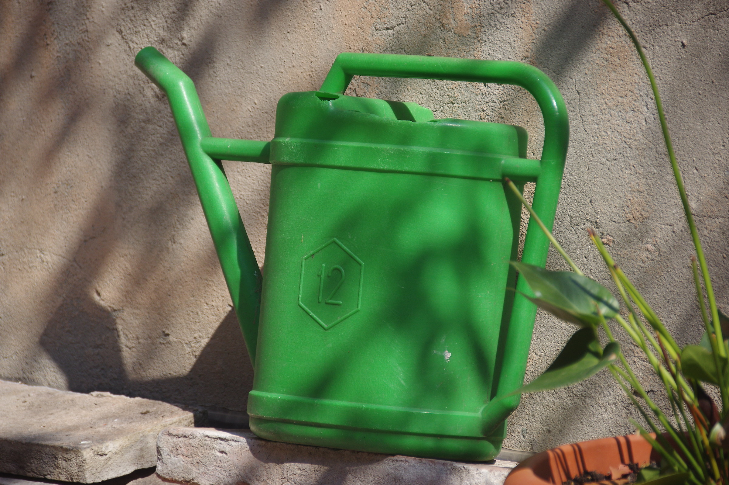The green watering can