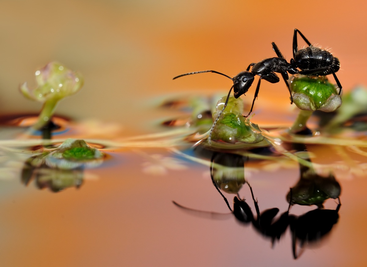 Dopo la grande pioggia..
