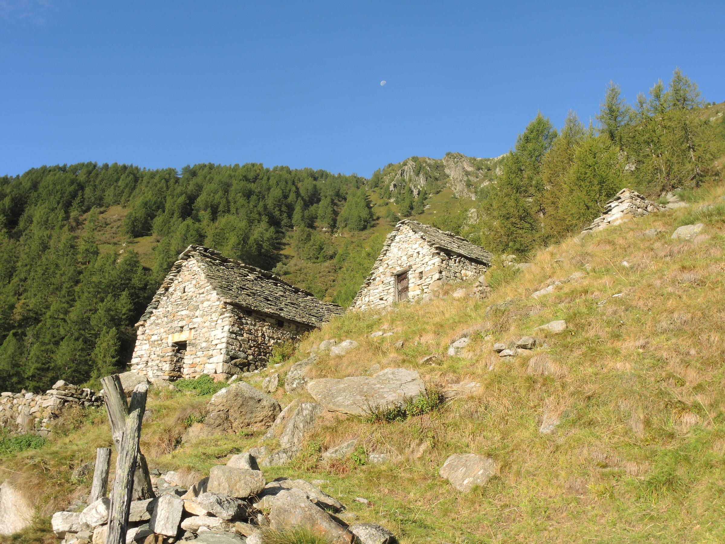 Alps Oriaccia (Val Bognanco)