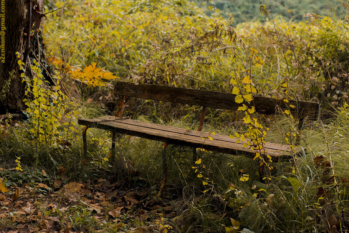 Il riposo del camminatore