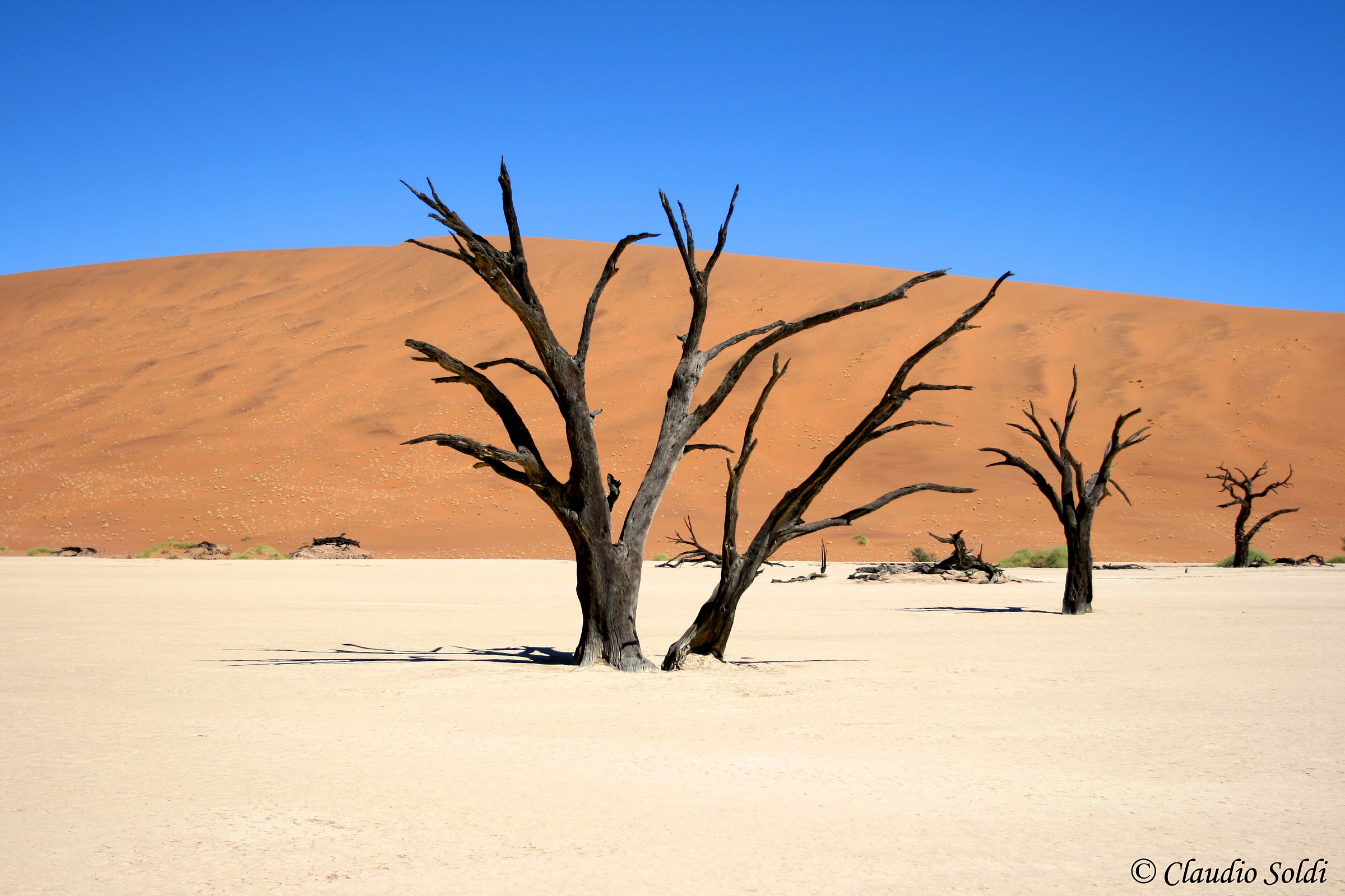 Dead Vlei - Sossusvlei