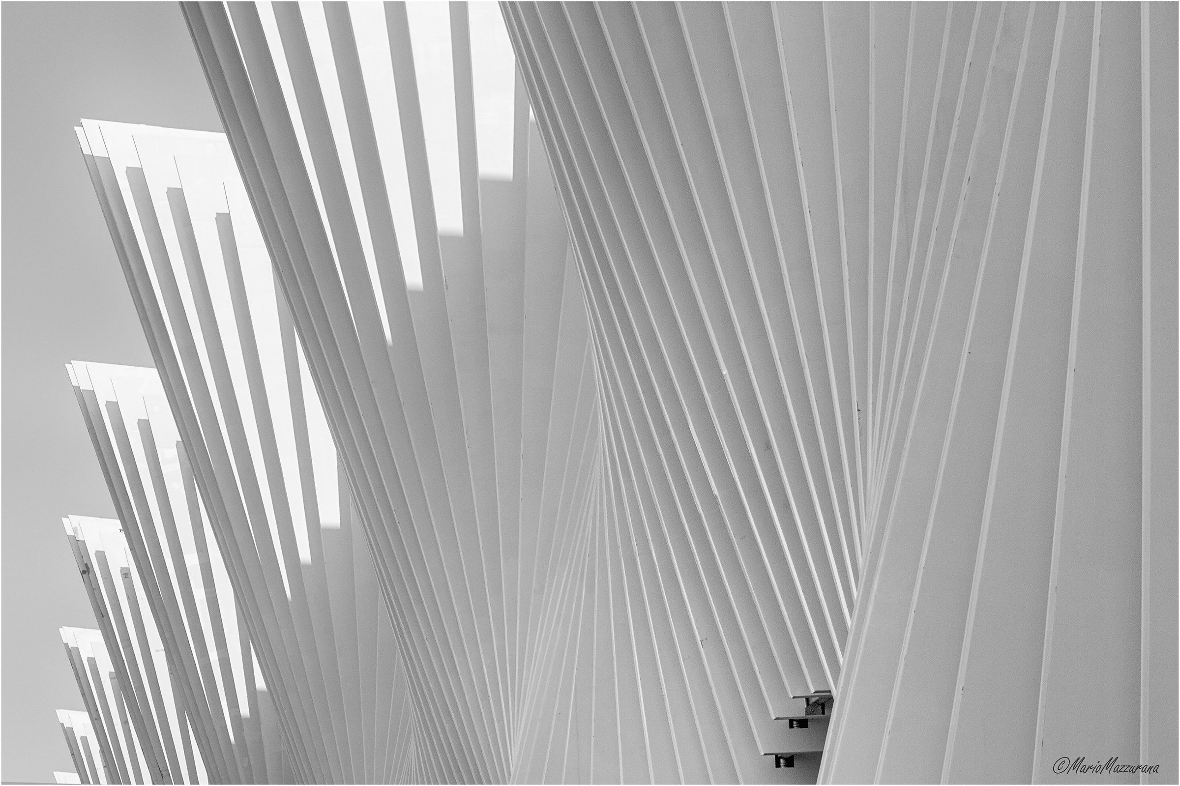 Calatrava  mediopadana "Le vele"