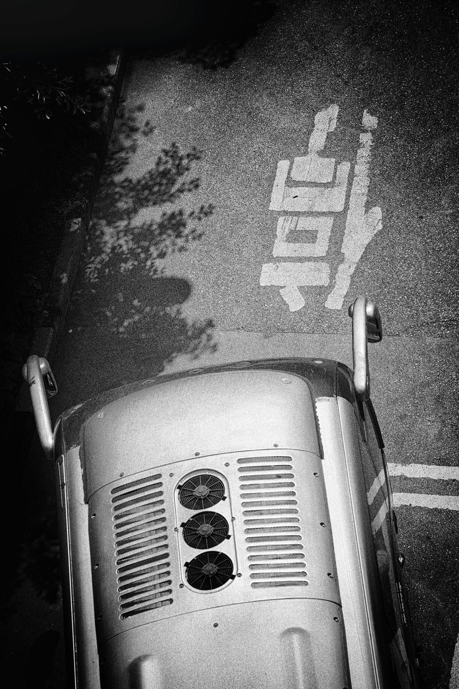 City insect. Chongqing, 2017.