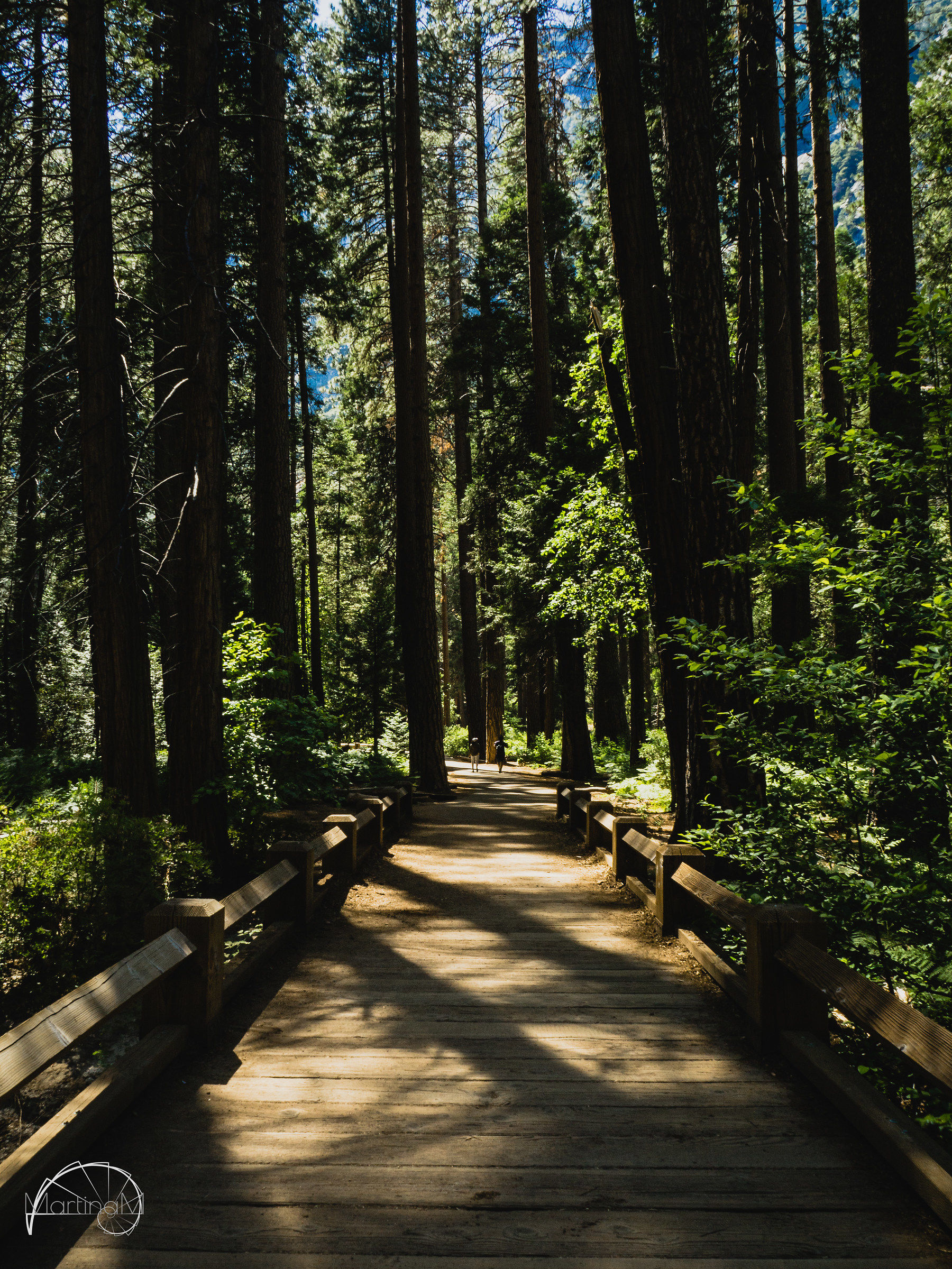Yosemite National Park