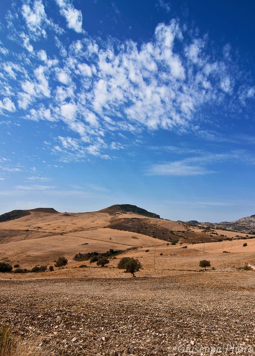 La campagna siciliana