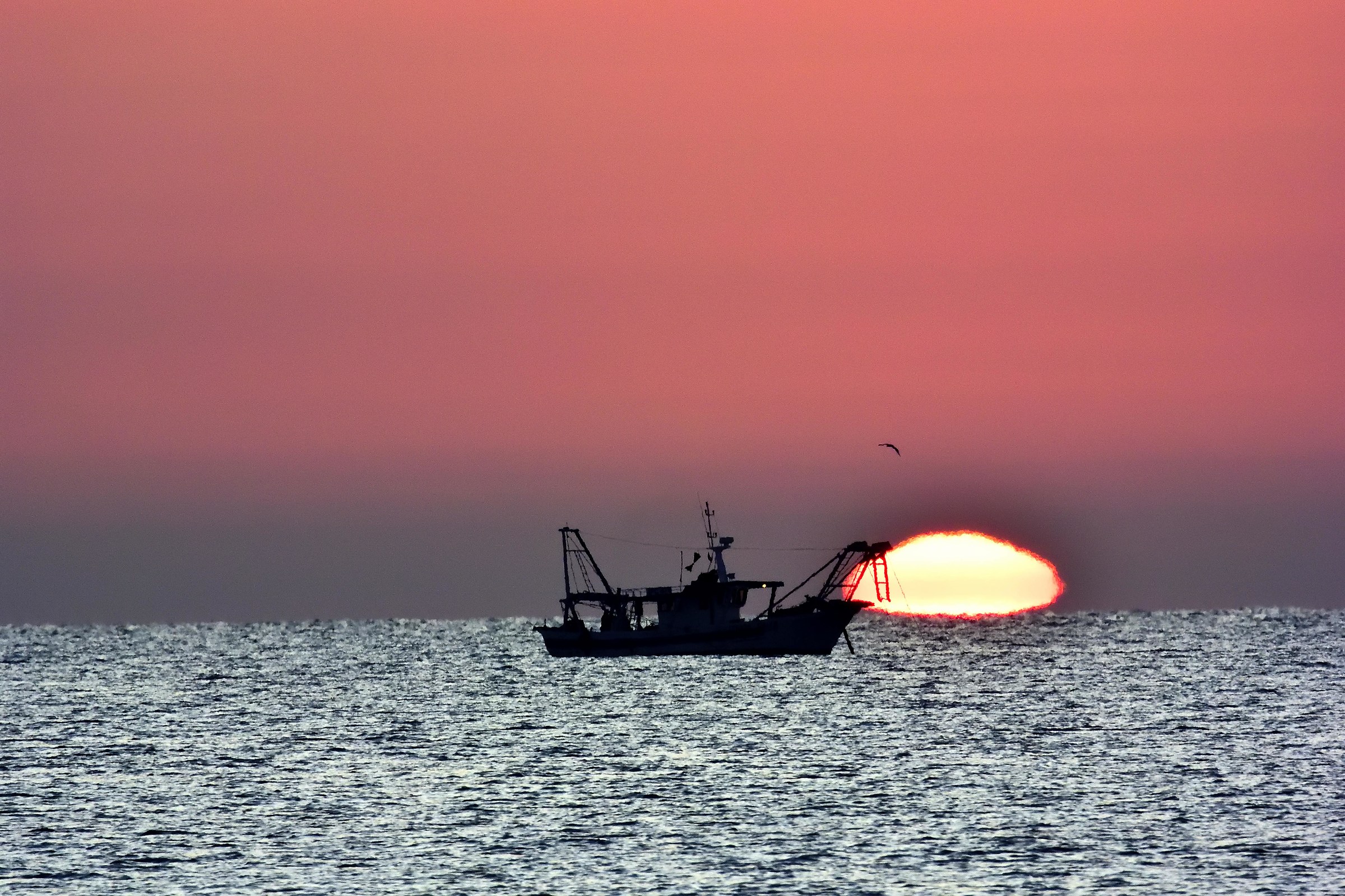 After night ... dawn