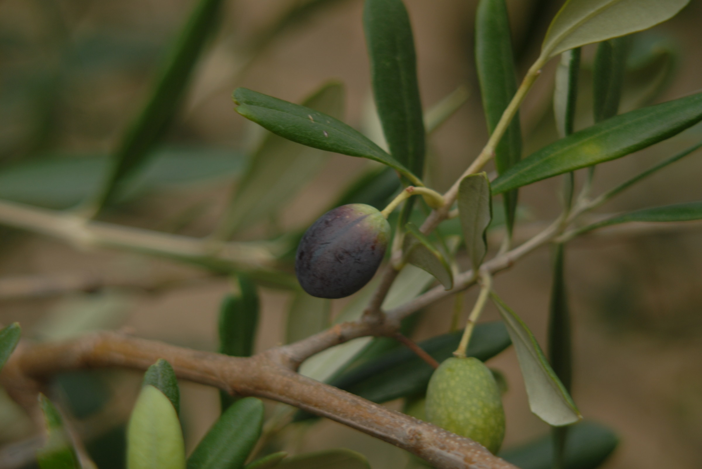 already? unbelievable