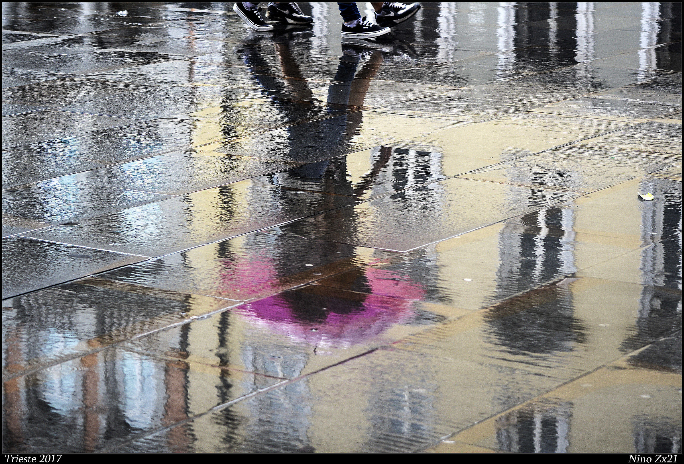 Colors on a rainy day.