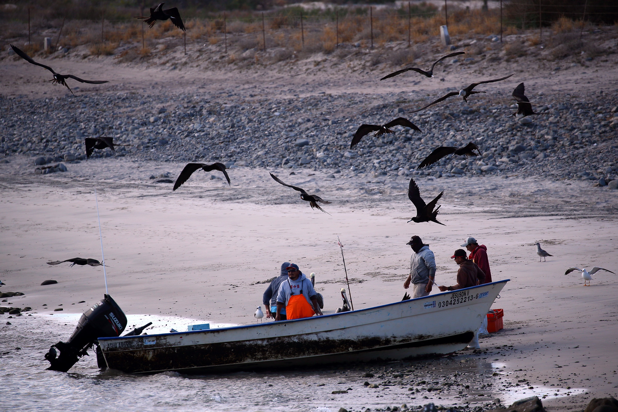 Fishermen and frigates