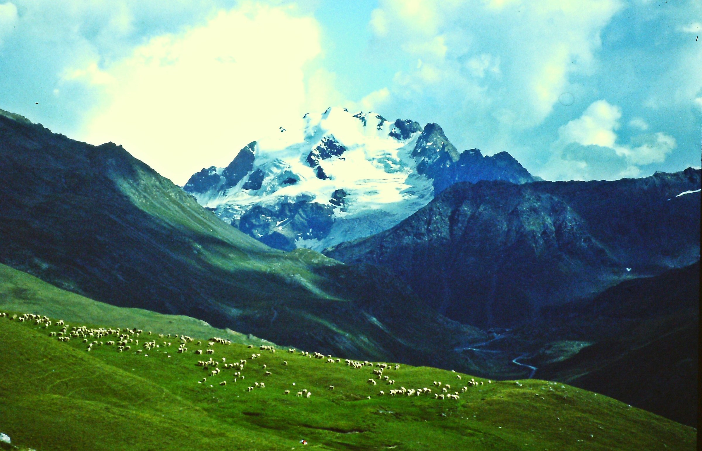 264 - realtà pittorica - SO Passo d'Eira