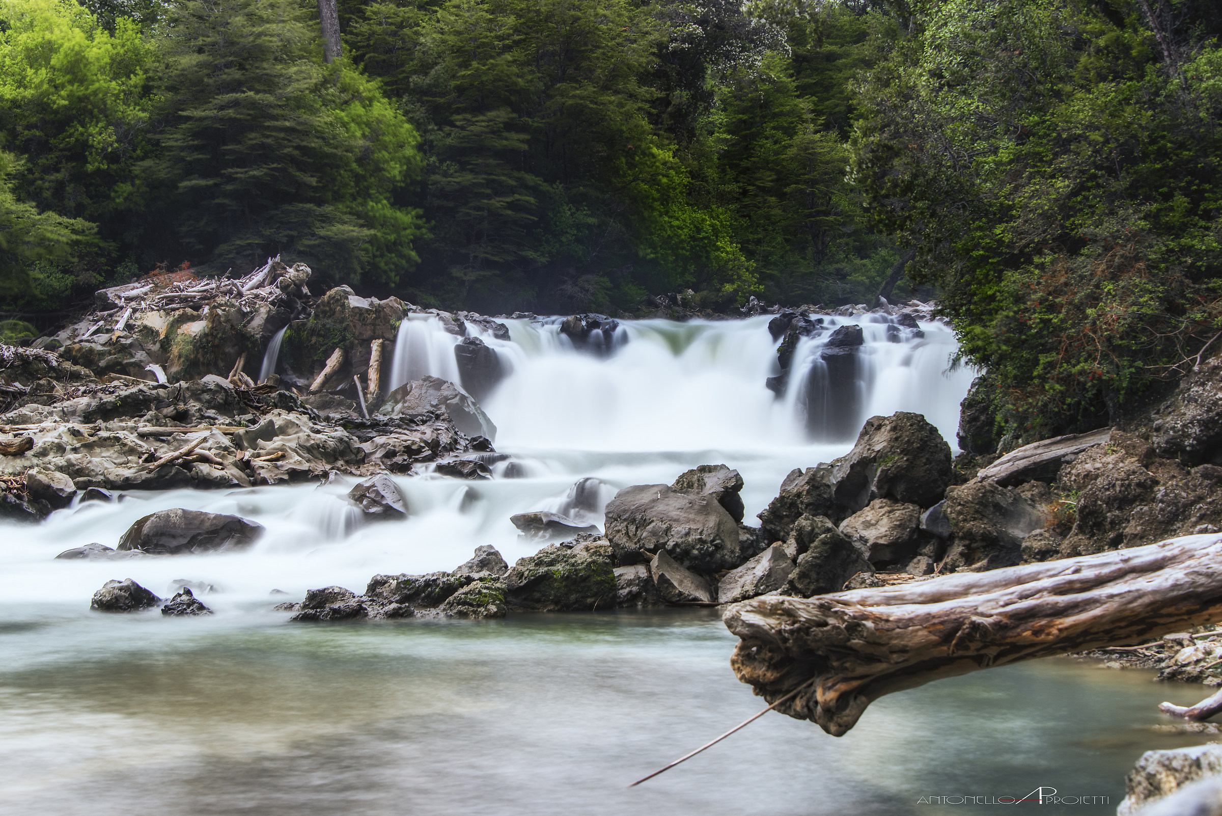 Puyehue National Park