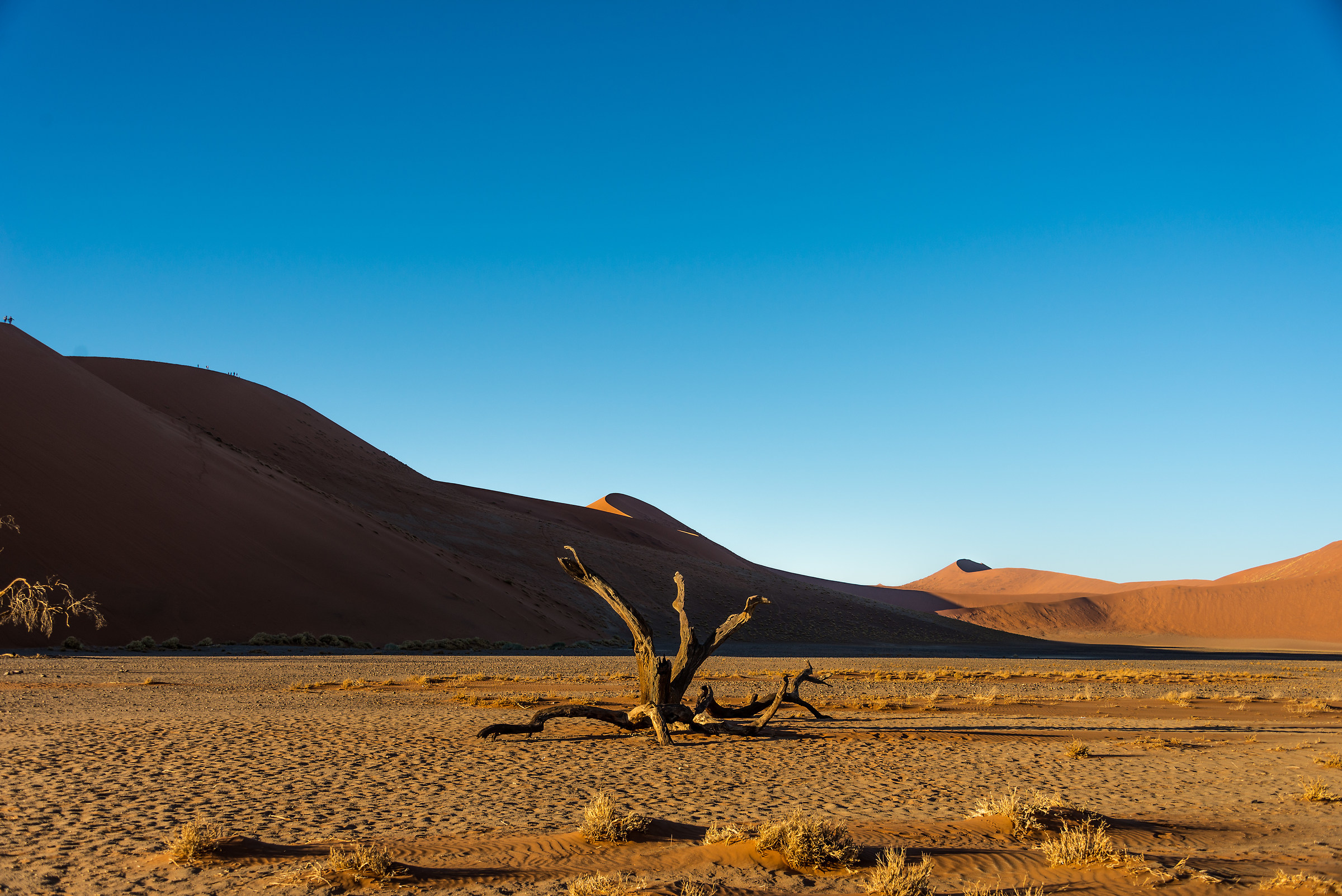 Sossusvlei - Duna 45 - Namibia