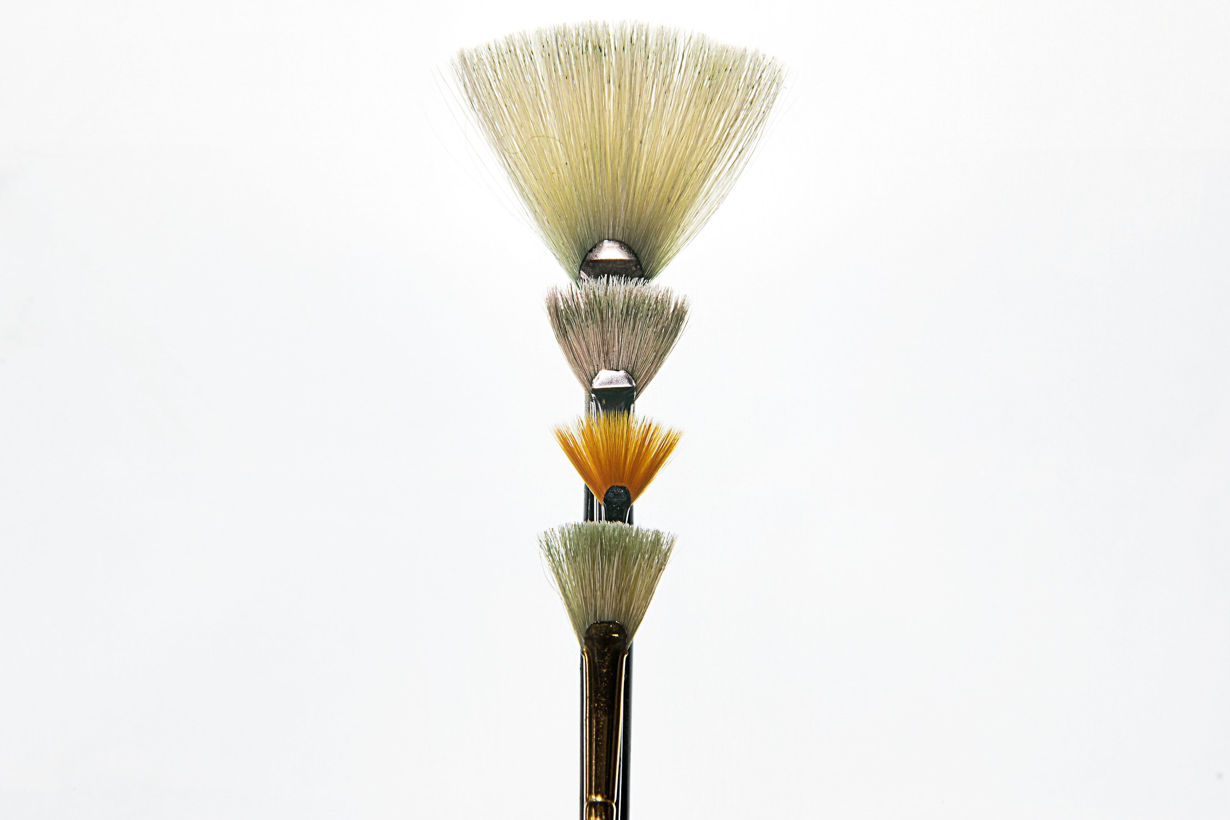 Family of brushes