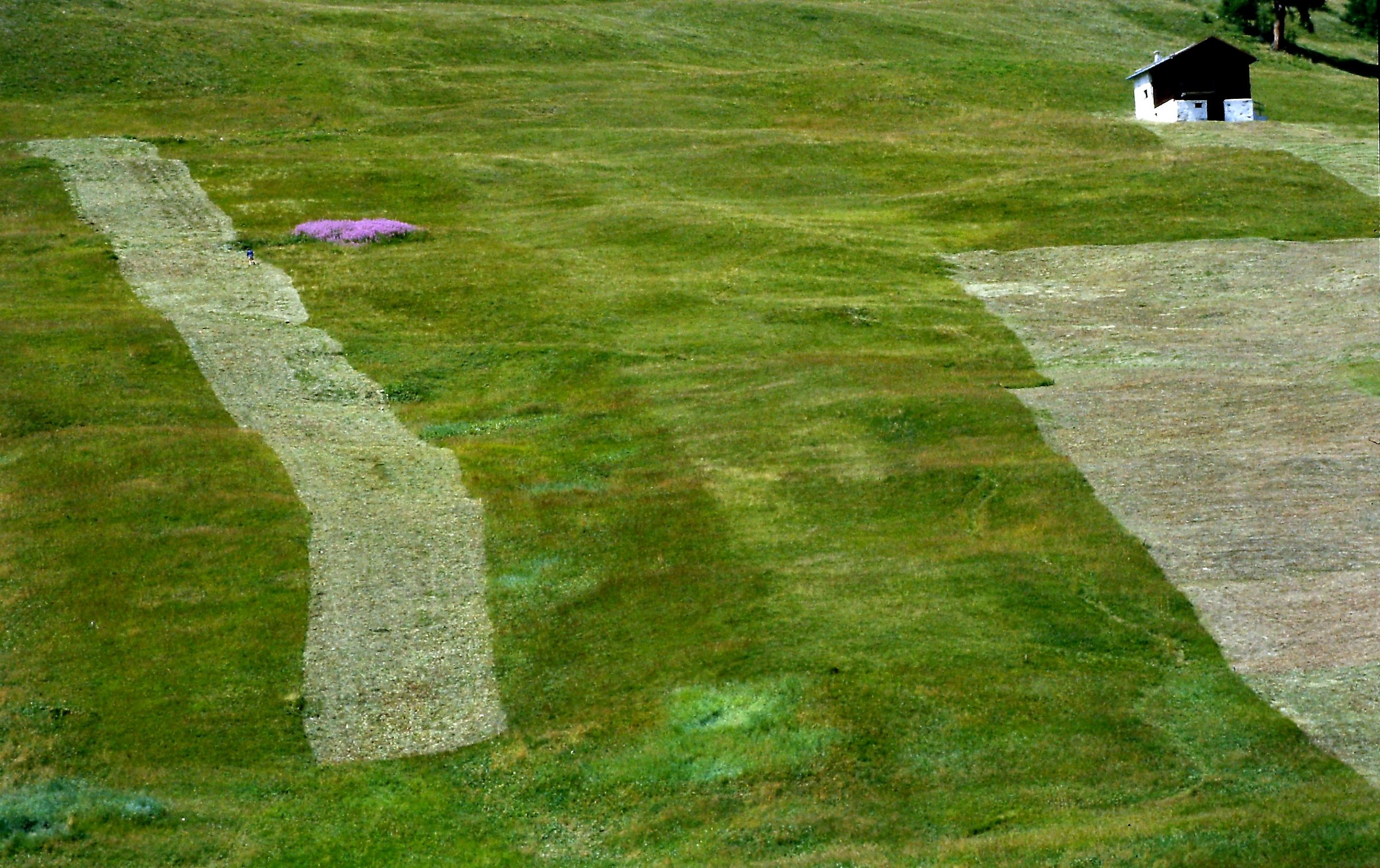 266- ritagliando il territorio - SO Livigno