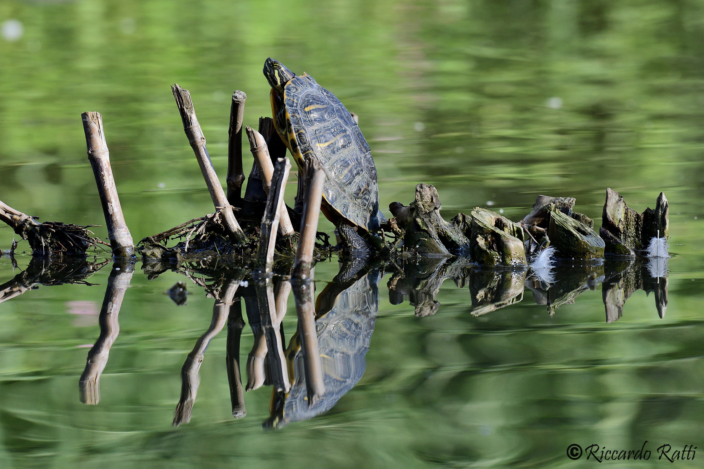 Bake with the last sun