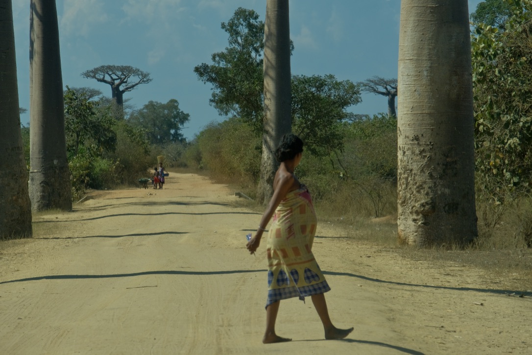 stop all, pass the future mom