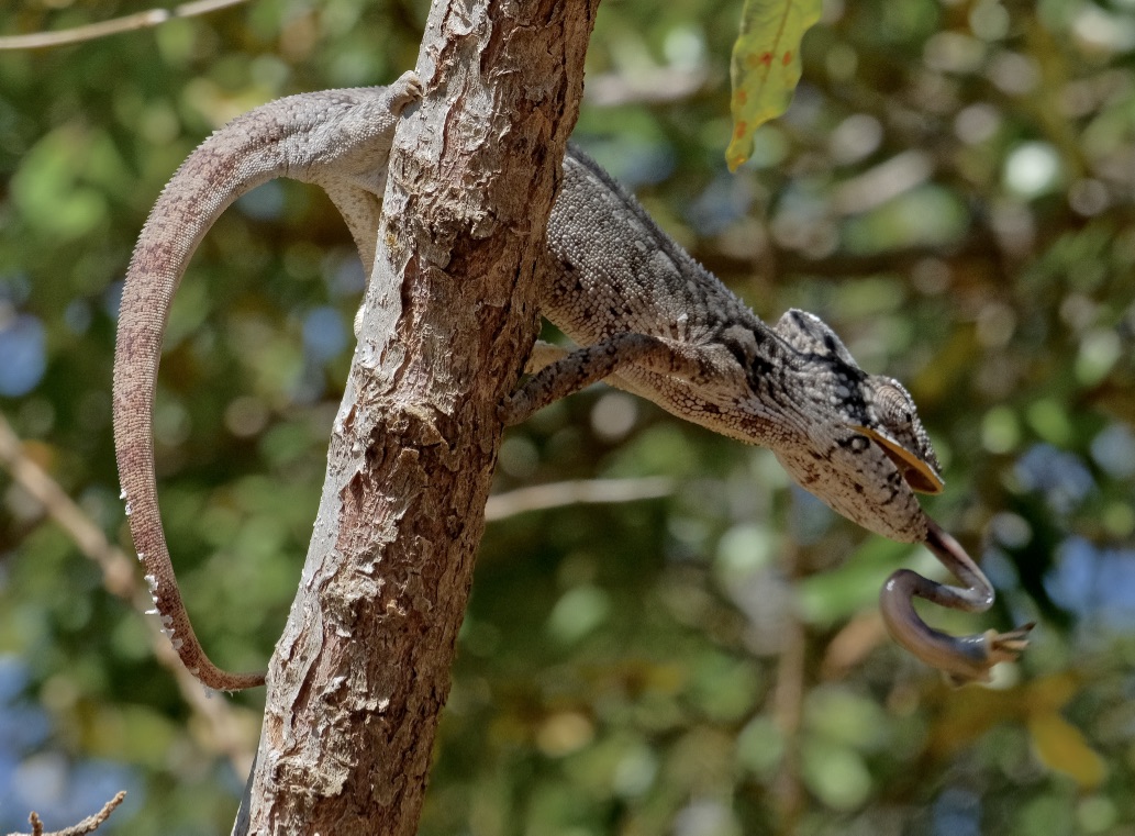 thousandth question!