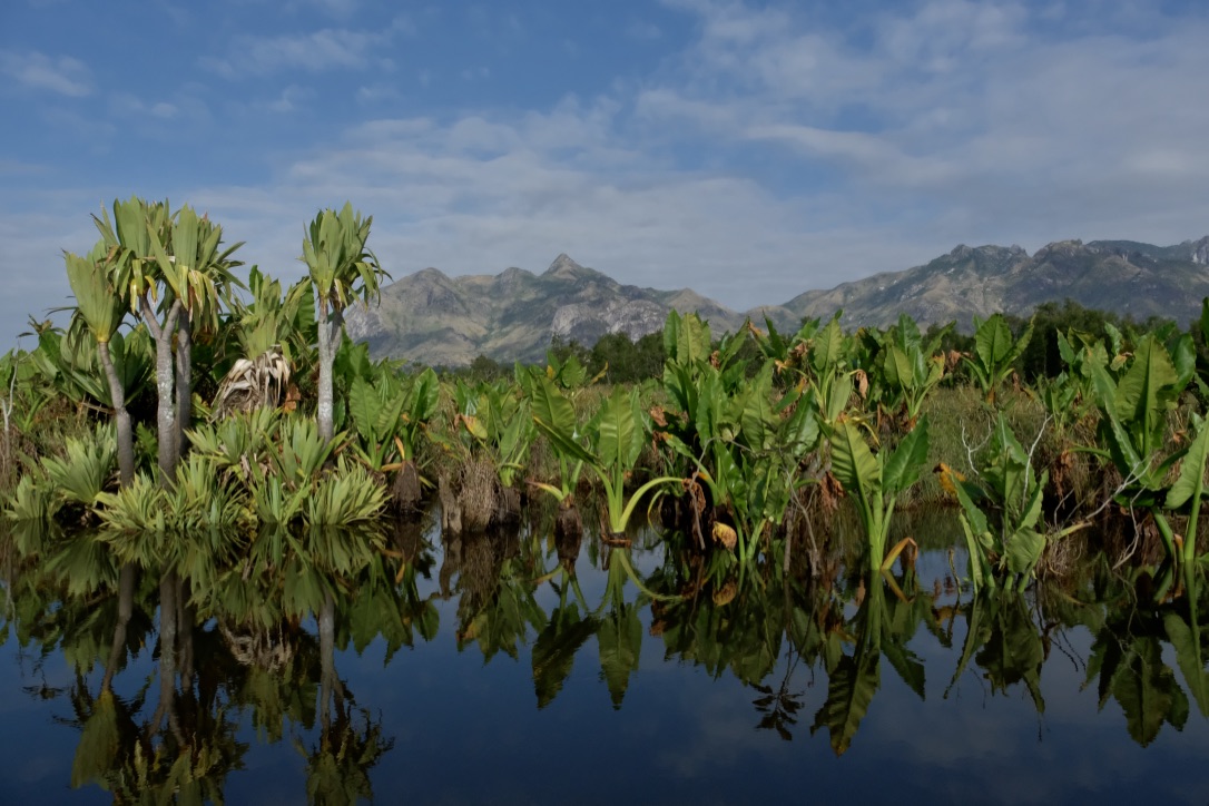 on Fort Dauphin Lake