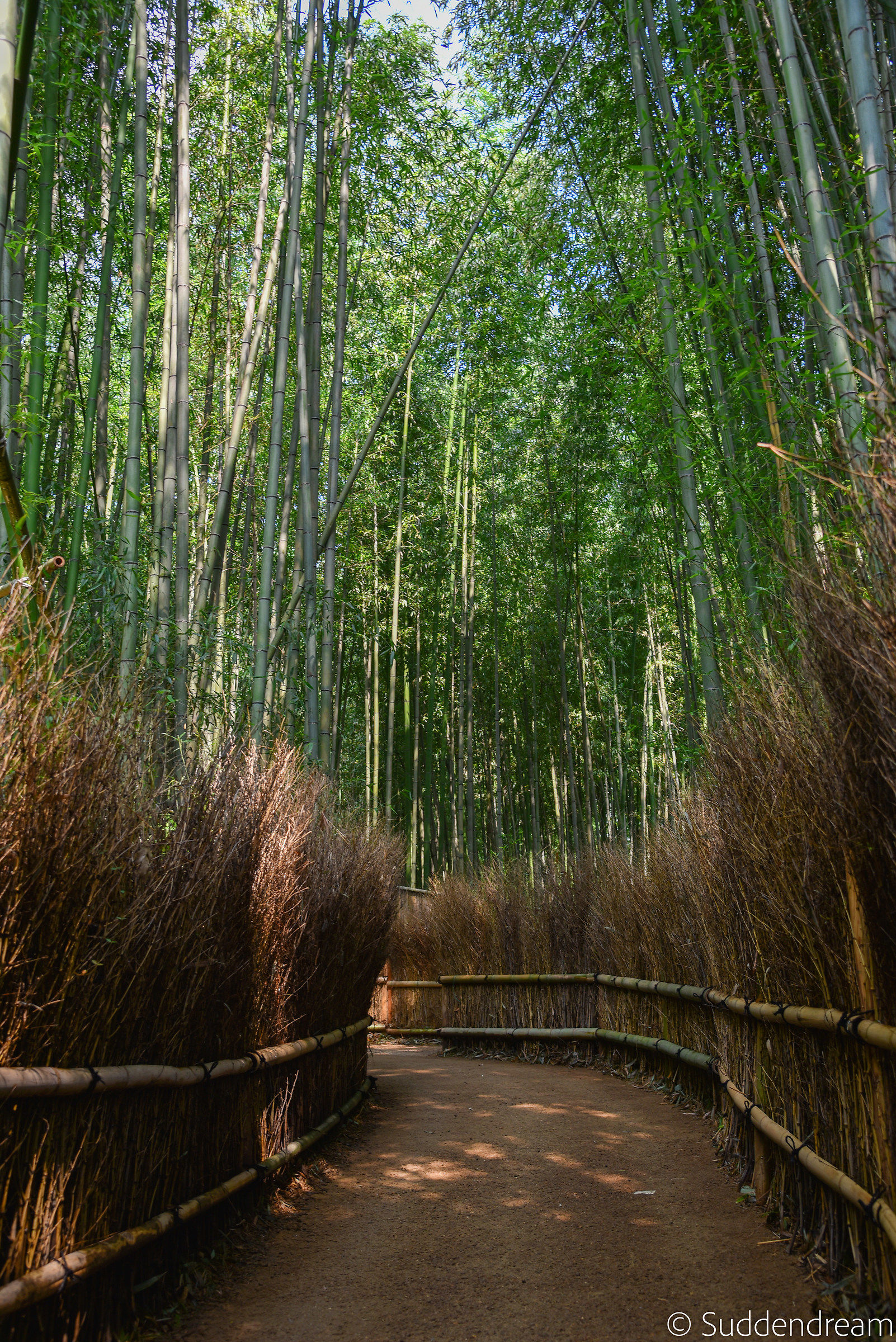 Arashiyama