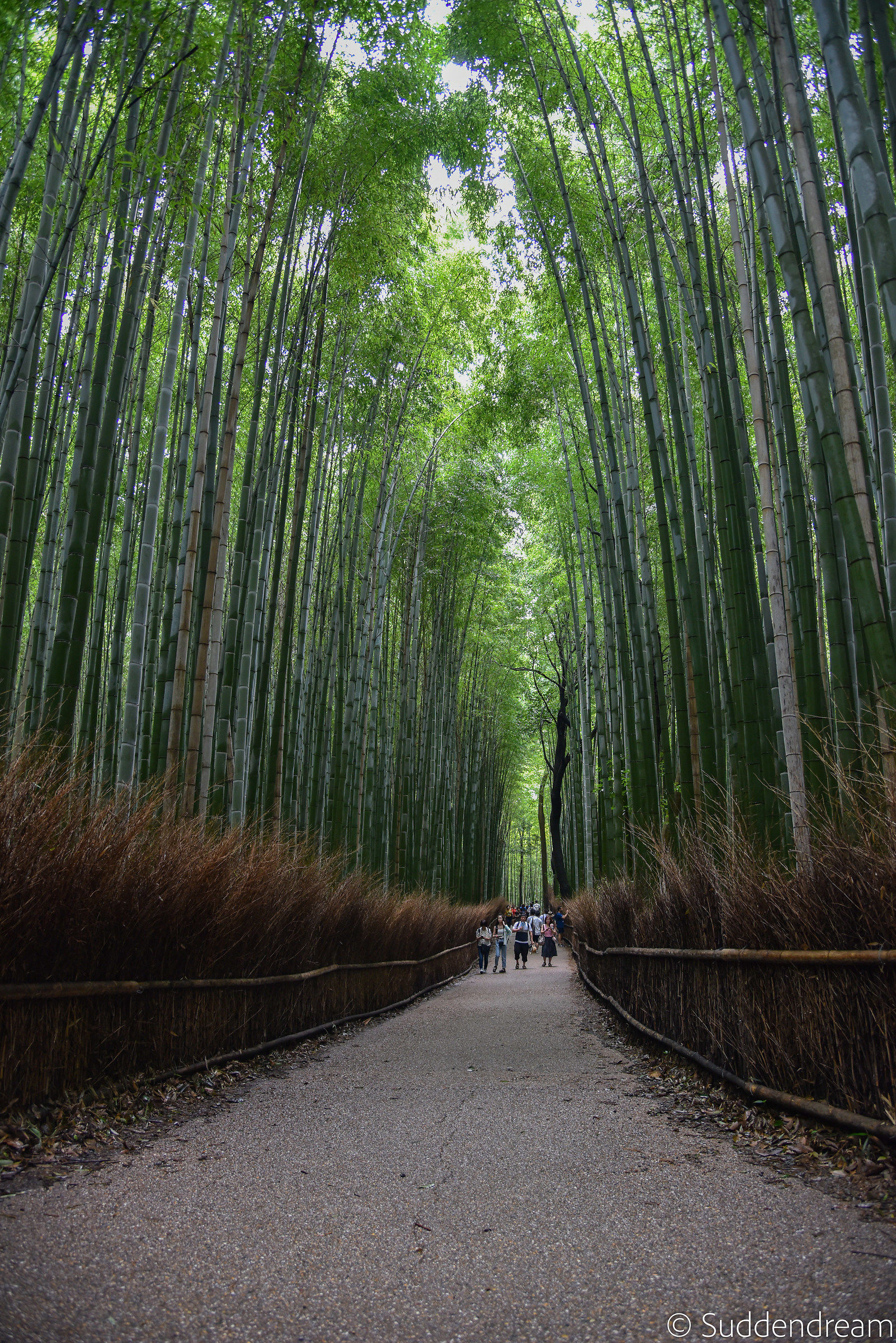 Arashiyama