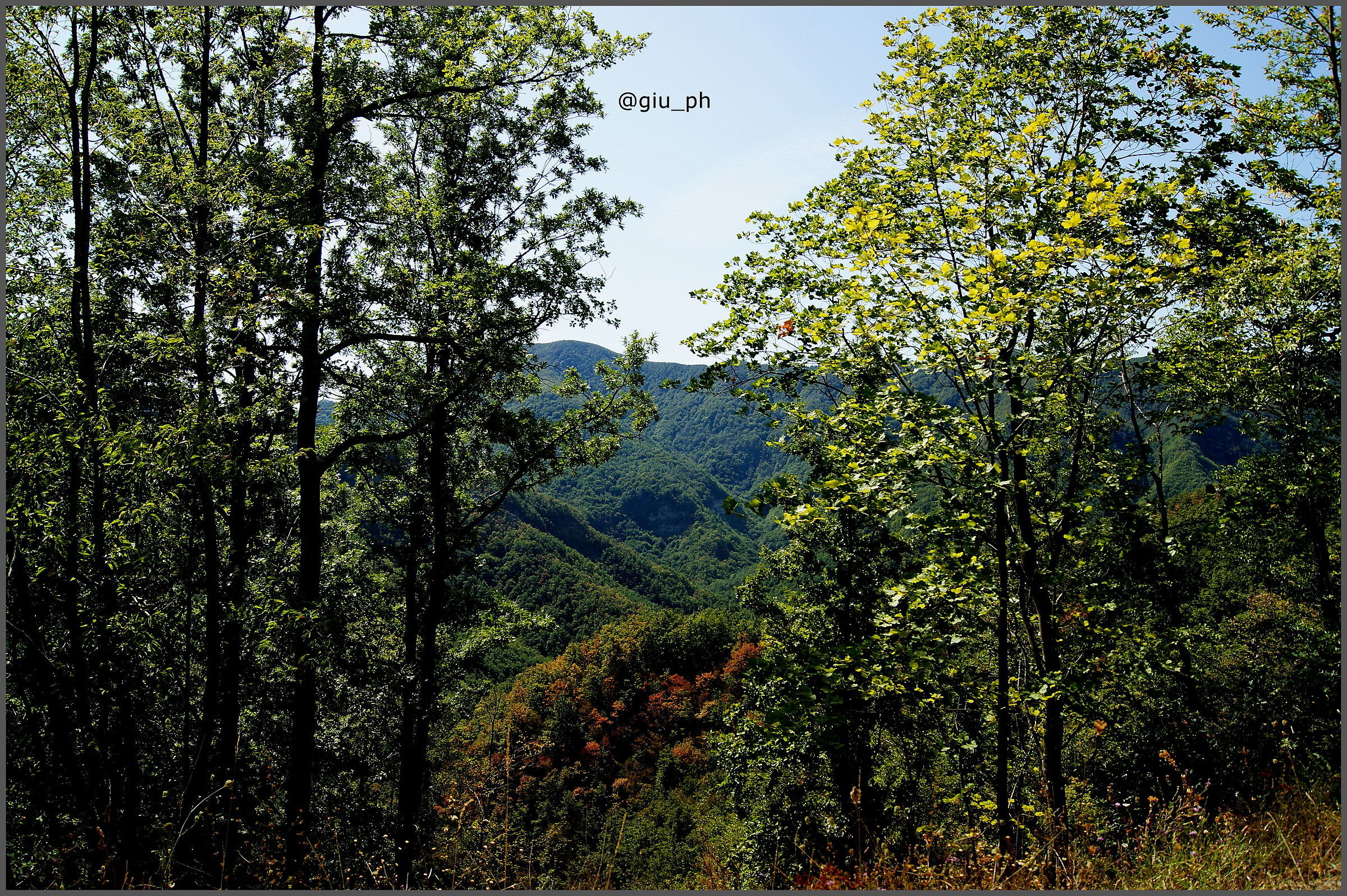 Badia Prataglia (Arezzo)